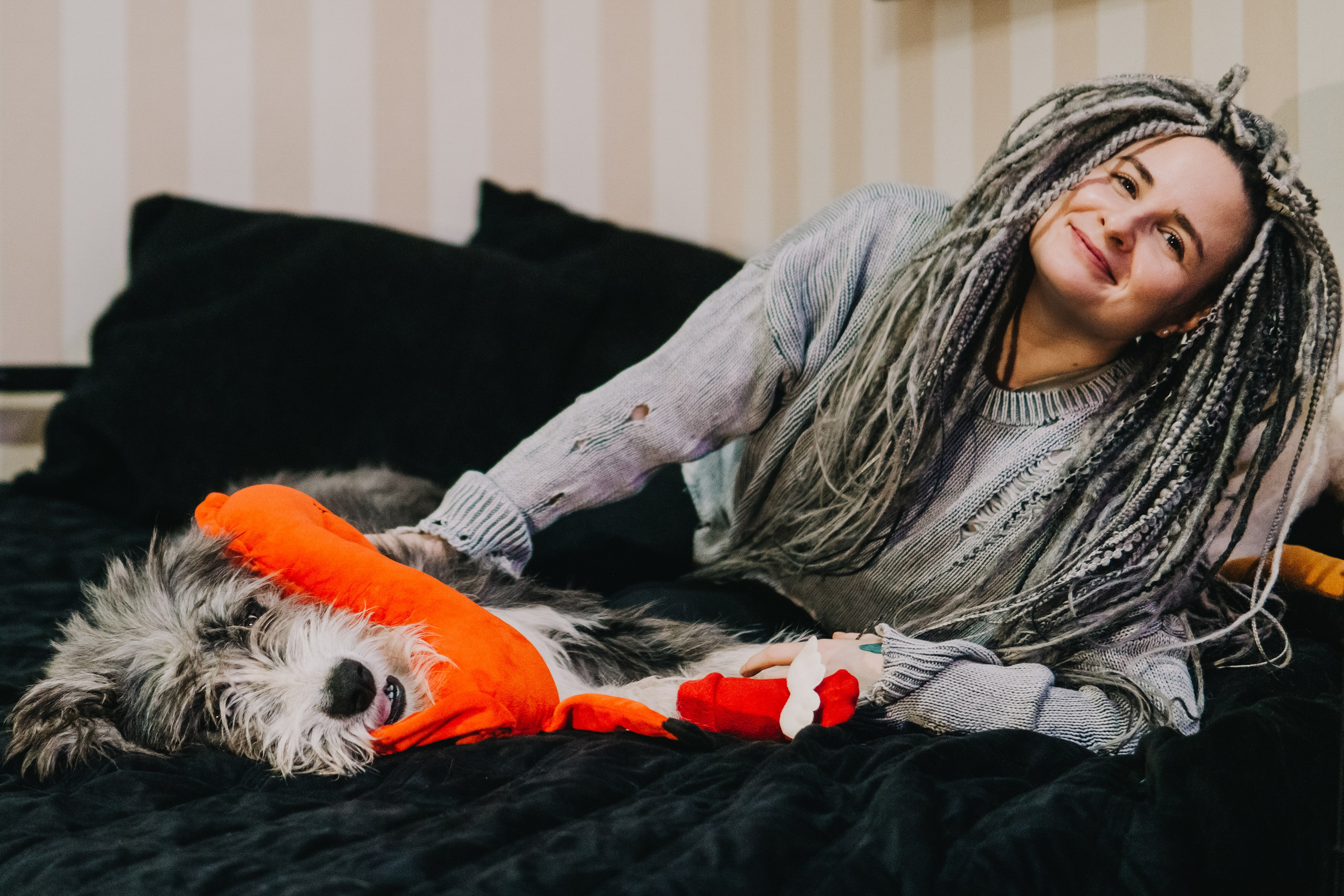 Life with dog. Saamill