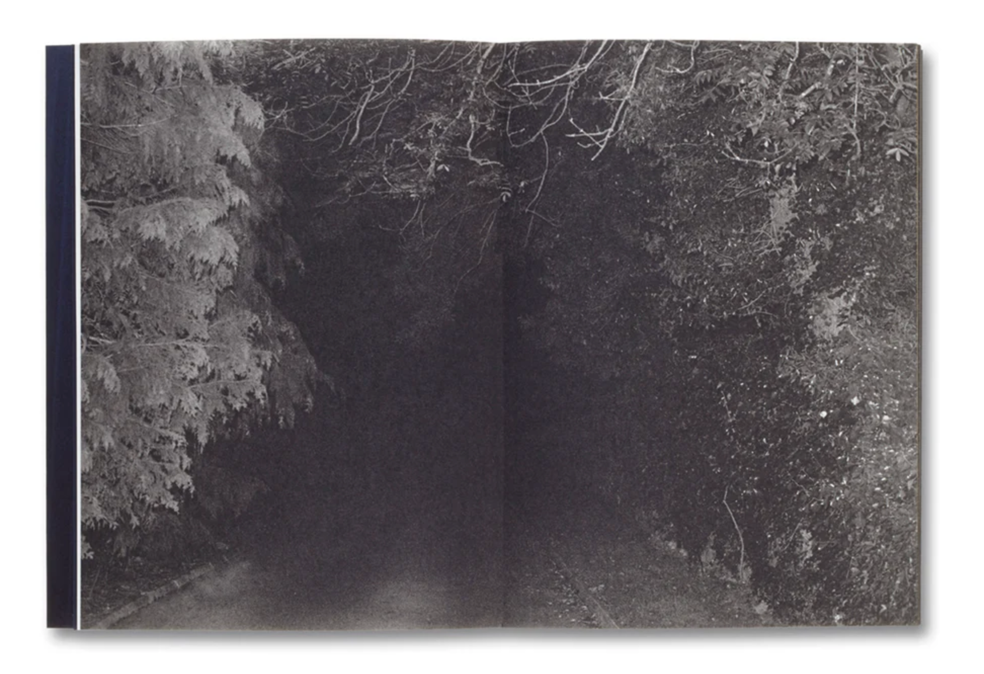 Понедельник 1. Вначале ничего не было…. …