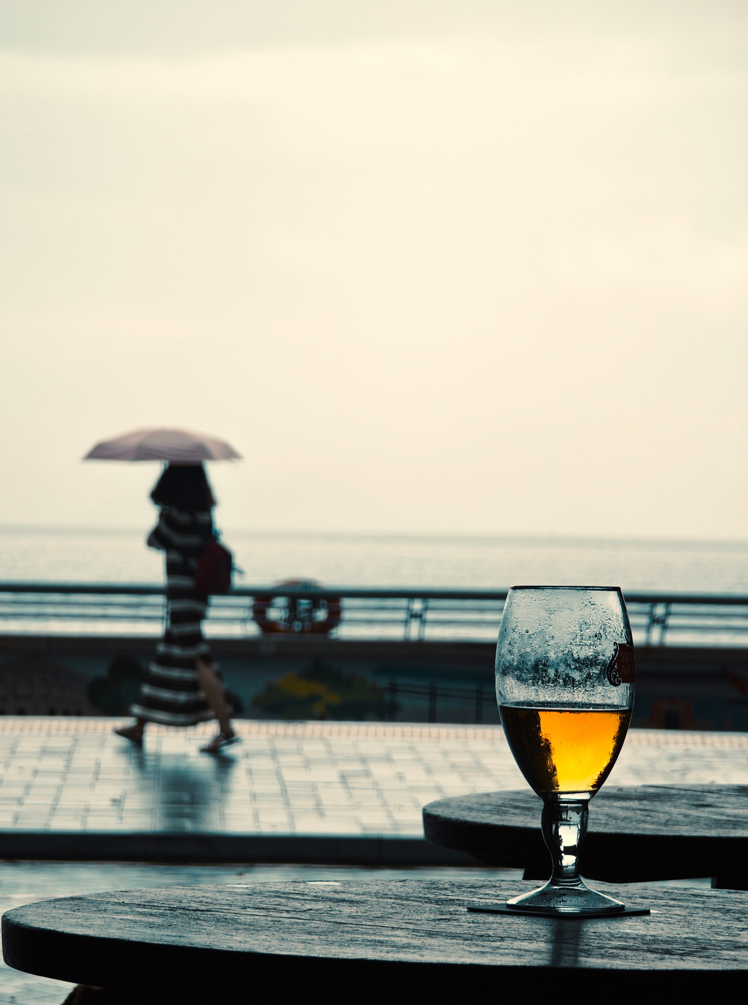 The Great Journey to China. Brjankin.com