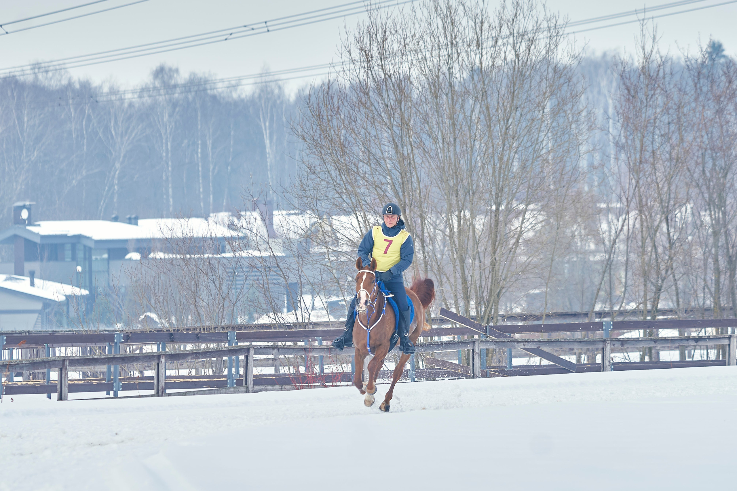 HORSE RACING. Фотограф Наталья Леонова