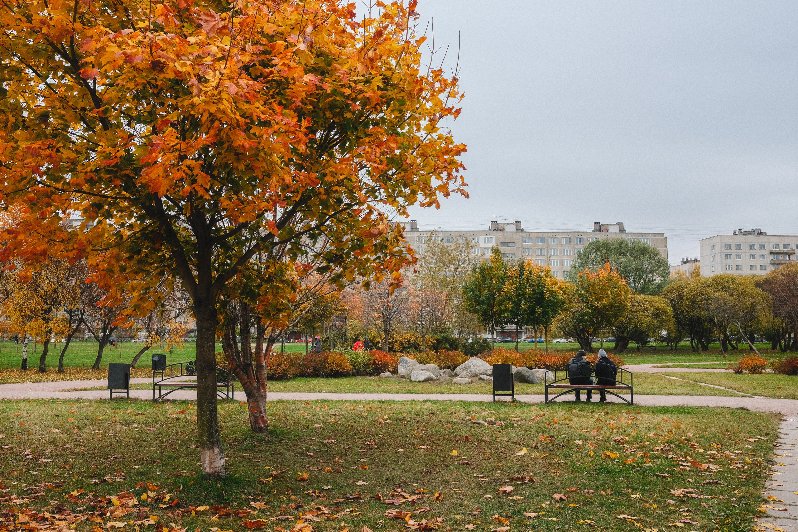 2022.10. Фотограф Алексей Алексеев