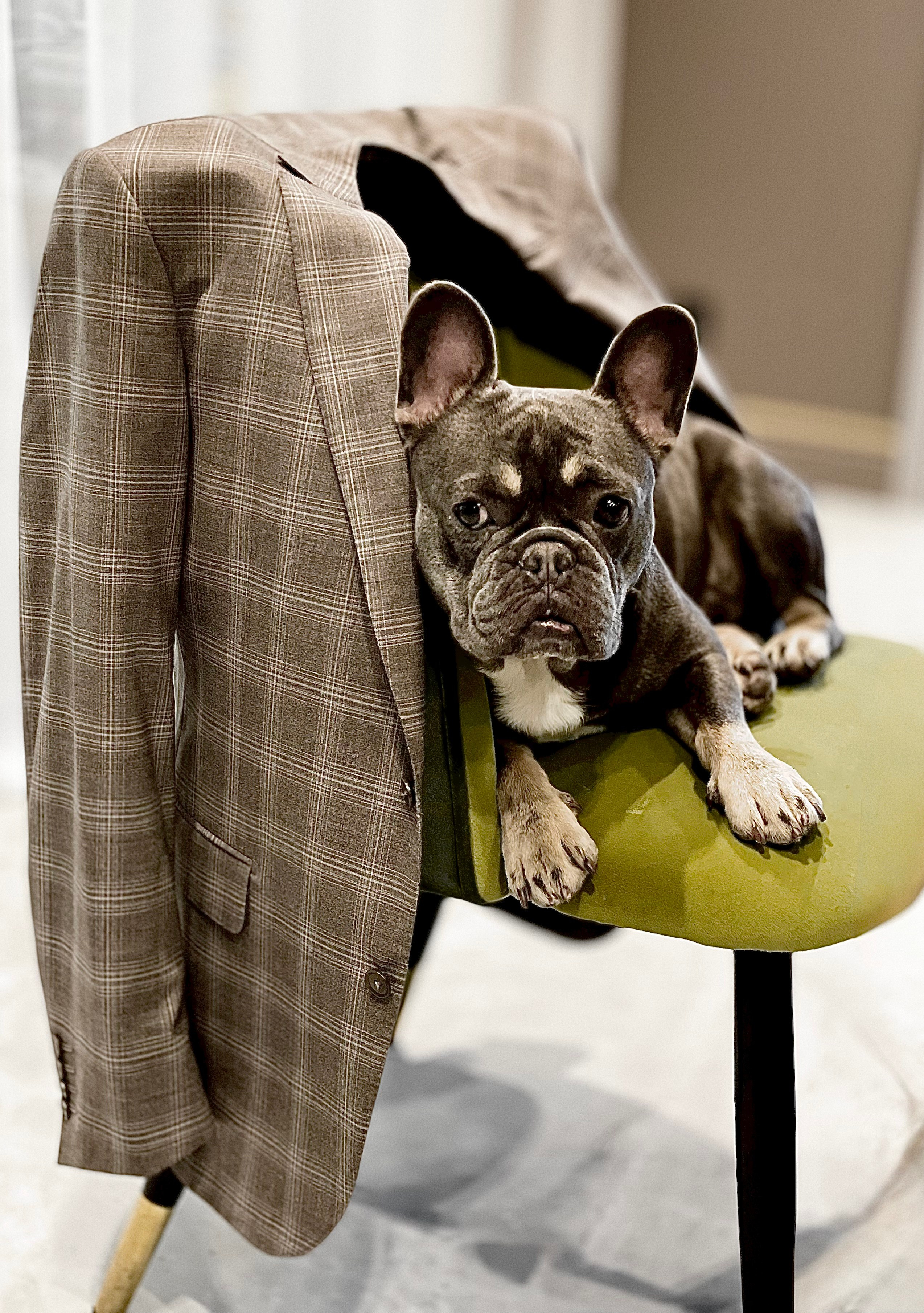 Фотограф Москва. Фотограф и художник в Москве Евгения Нюнина