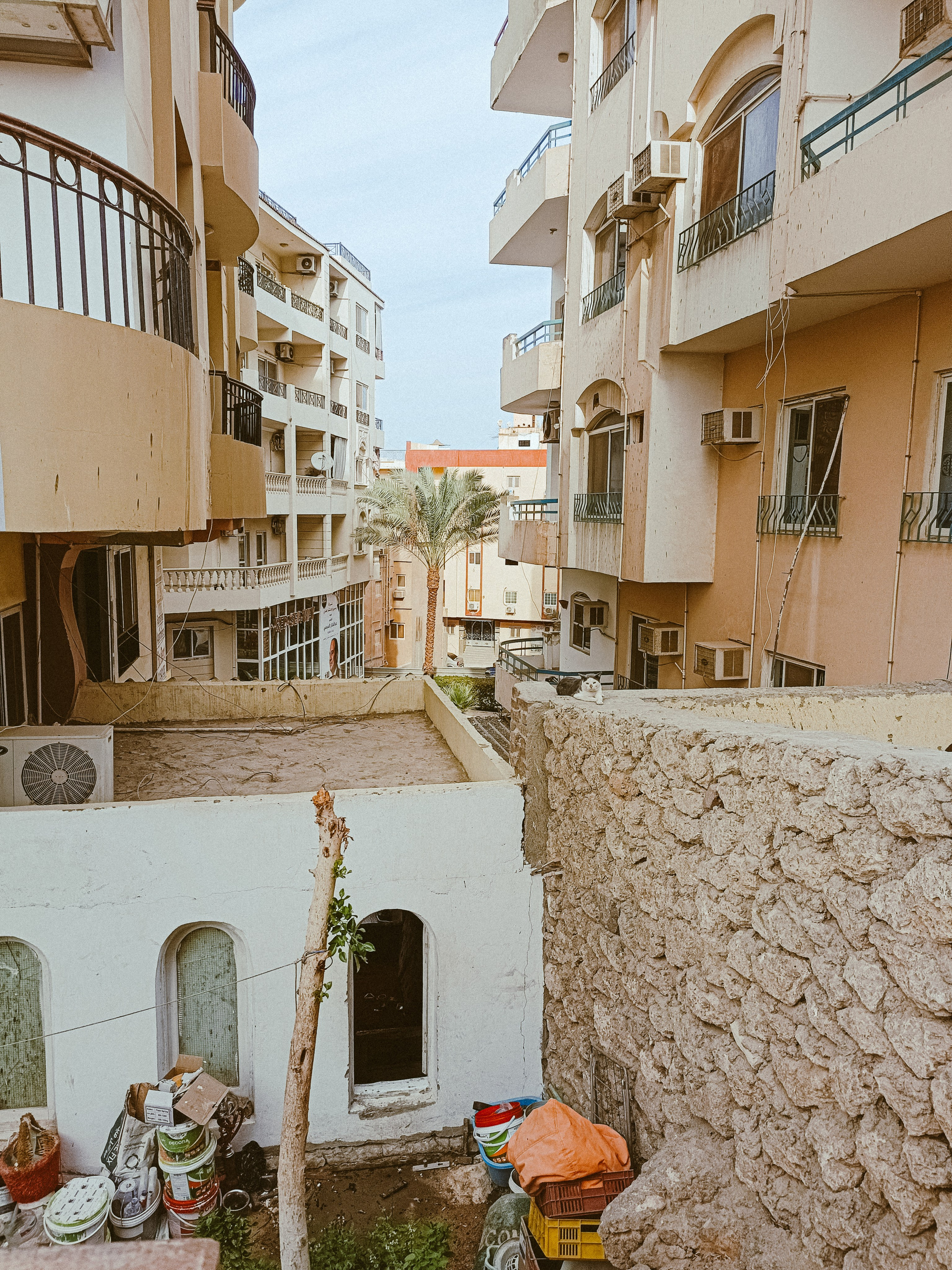 Мобильная. Jorgis — фотограф в Хургаде / обучение фотографии