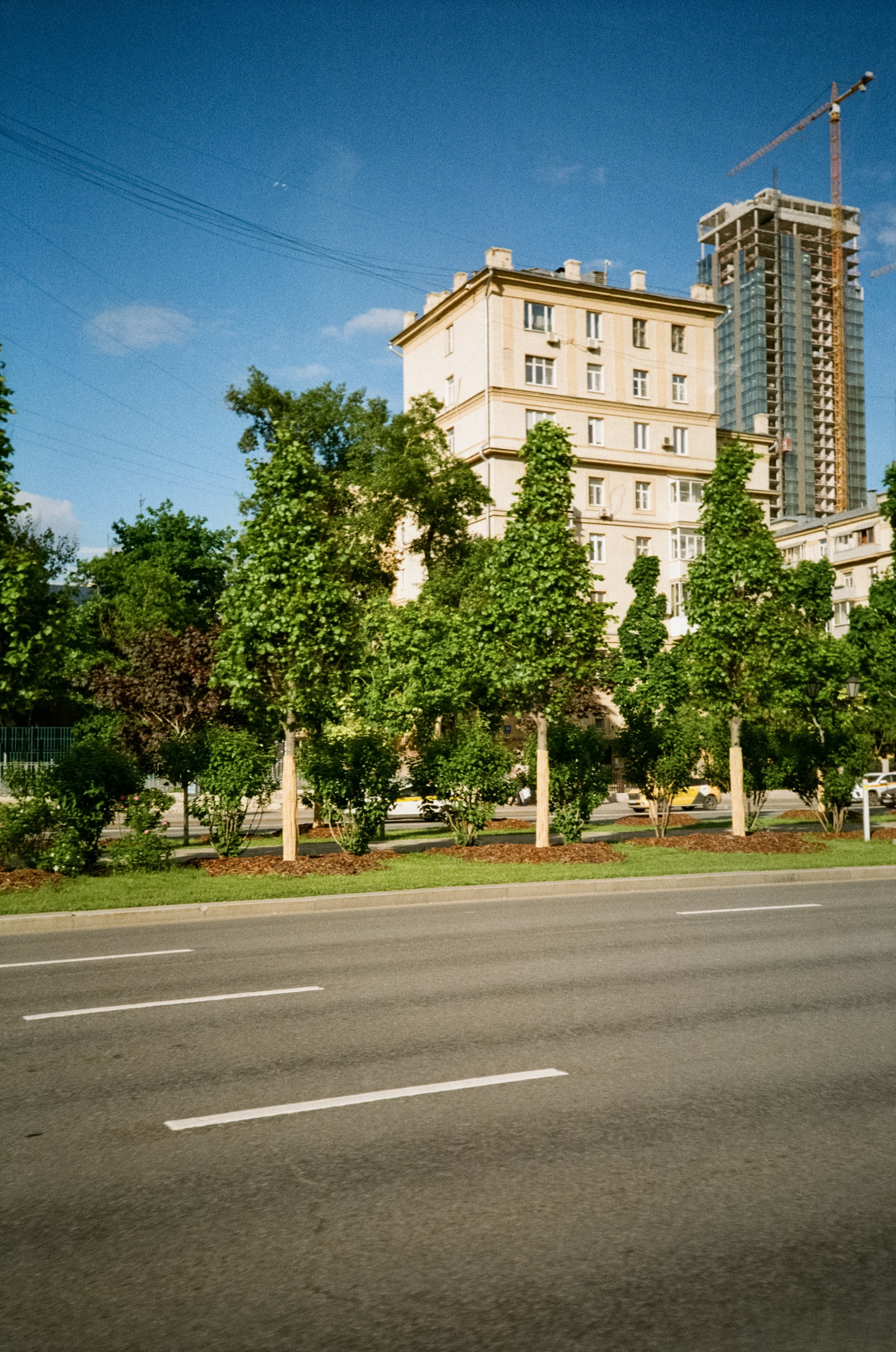 Kodak Kodacolor 200 примеры фотографий