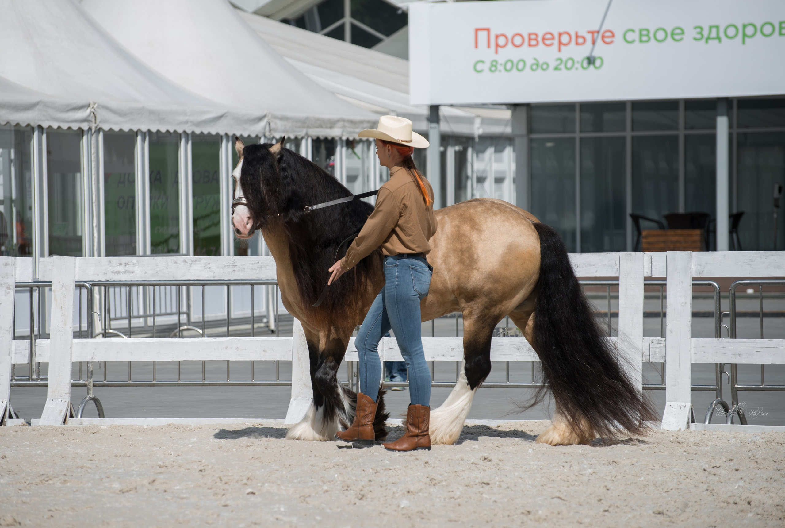 Эквирос, Москва. Конный фотограф в Саратове Юлия Иванова