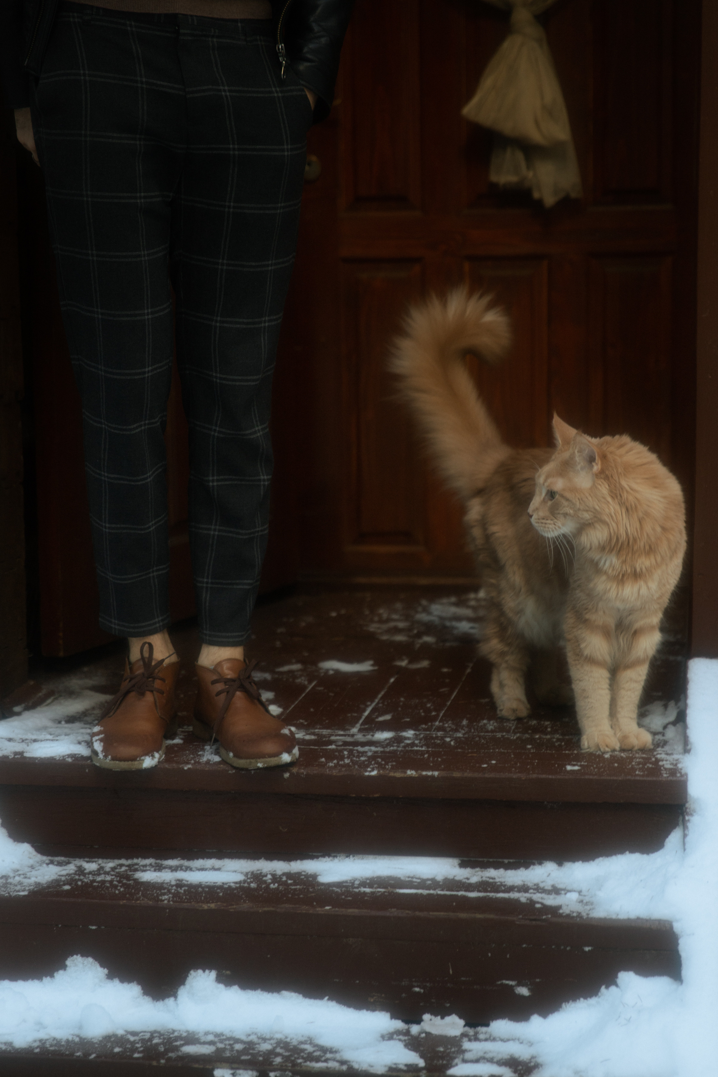 Майя и Саша lovestory дома. Фотограф в Москве Екатерина Черненко