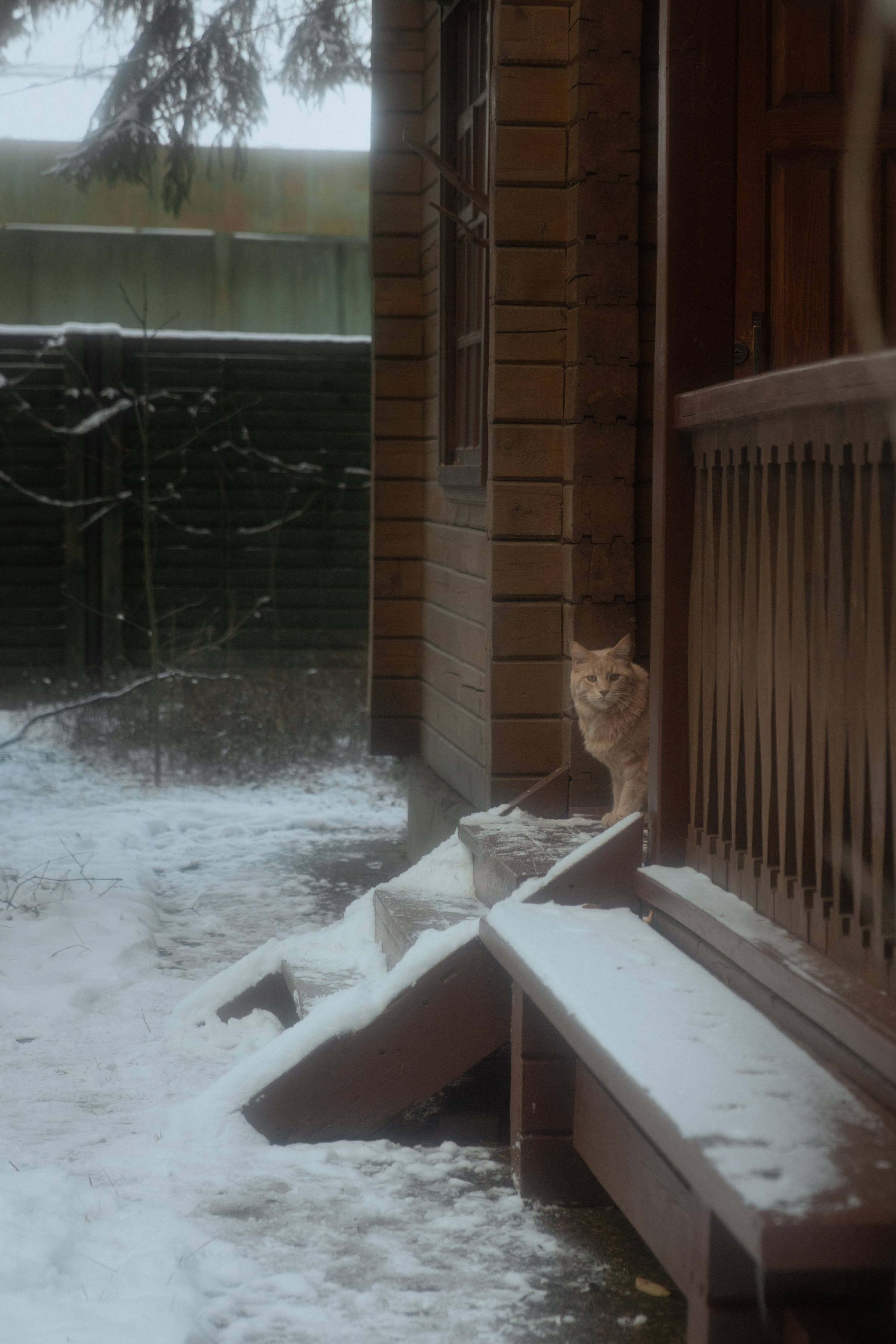 Майя и Саша lovestory дома. Фотограф в Москве Екатерина Черненко