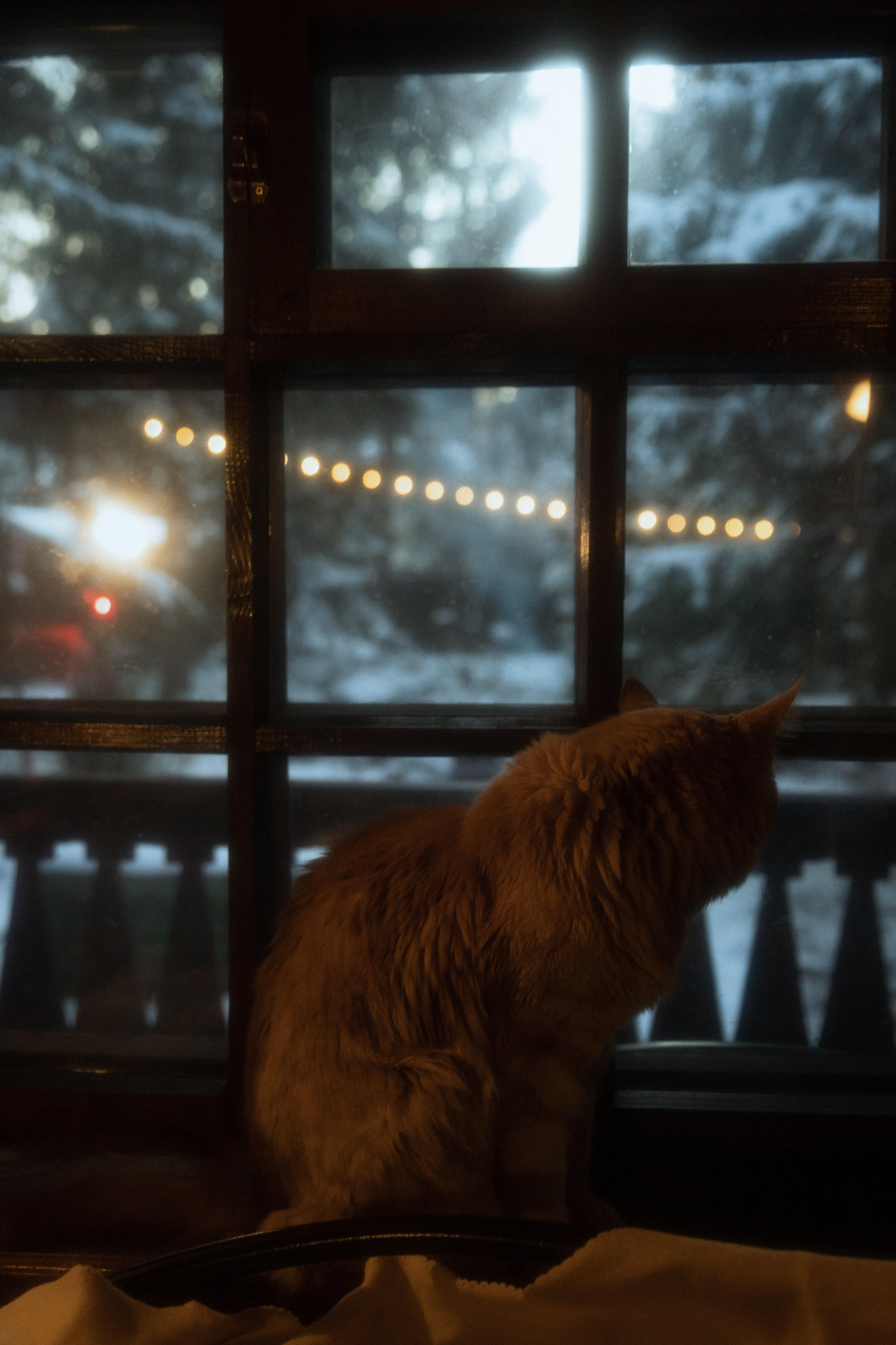 Майя и Саша lovestory дома. Фотограф в Москве Екатерина Черненко