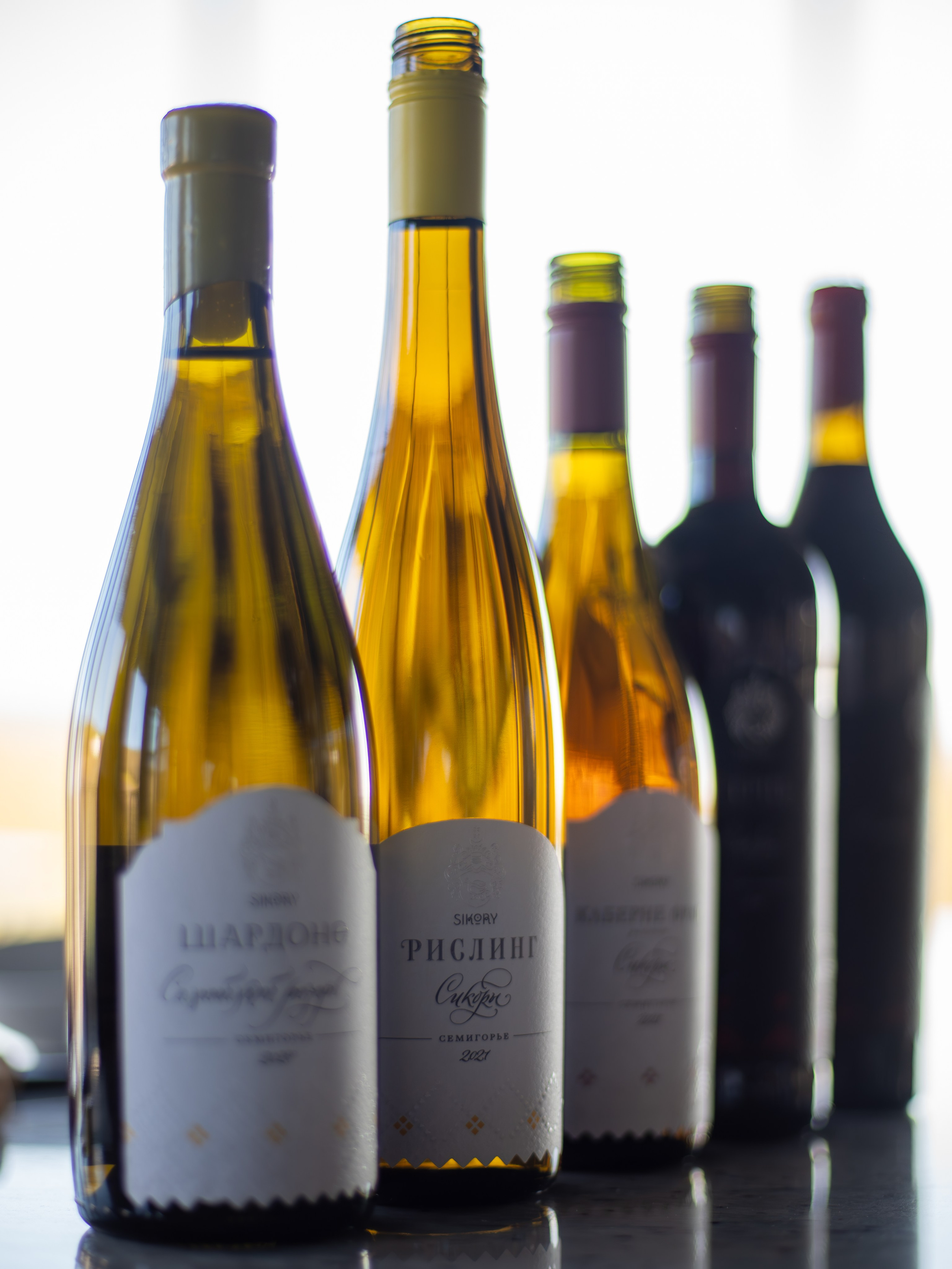 Литературная мастерская с Ольгой Шутовой в «Винотеррии». Репортажный фотограф в Красной Поляне и Сочи Павлюченко Екатерина