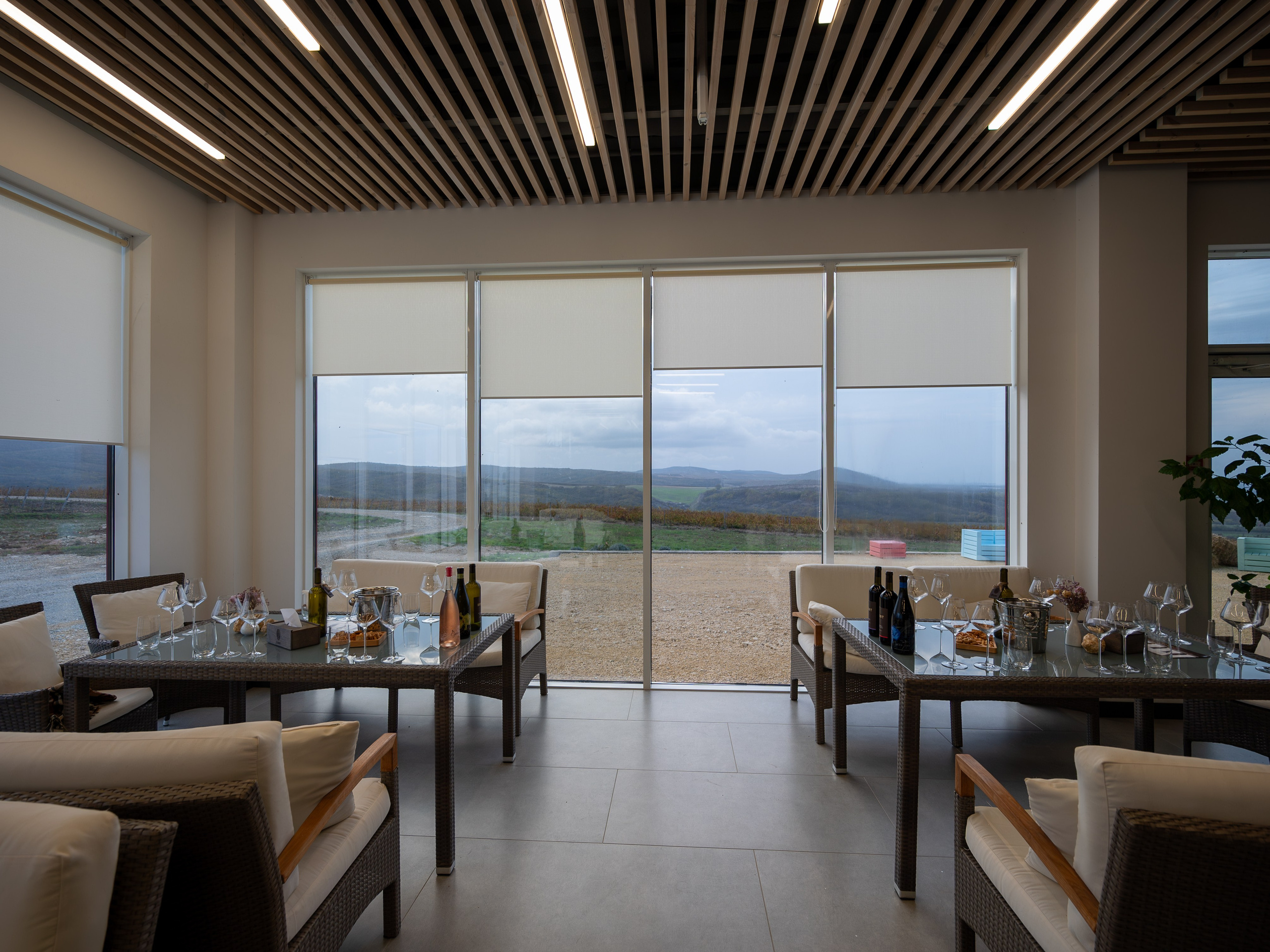 Литературная мастерская с Ольгой Шутовой в «Винотеррии». Репортажный фотограф в Красной Поляне и Сочи Павлюченко Екатерина