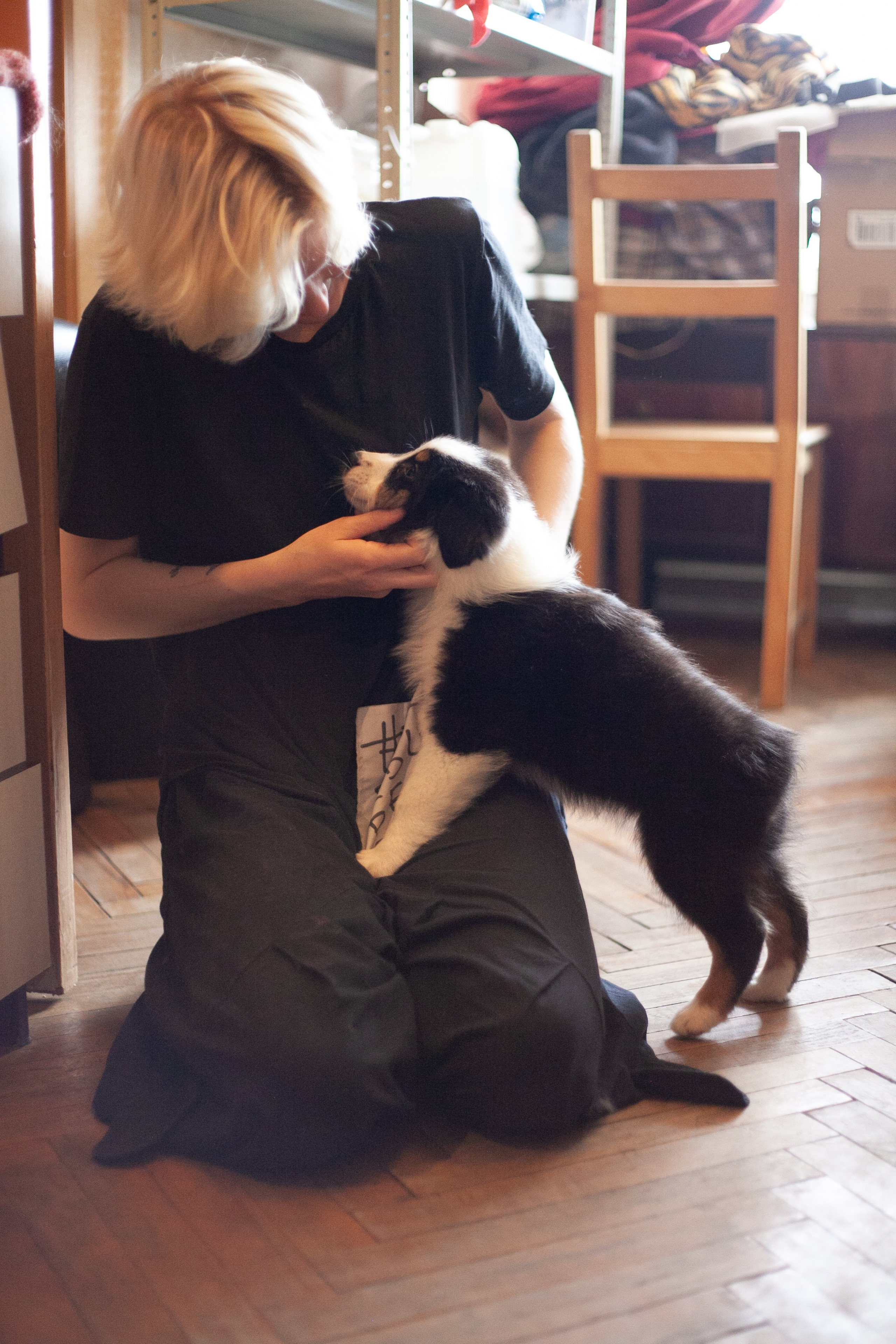 Рыся. BLGKV питомник собак