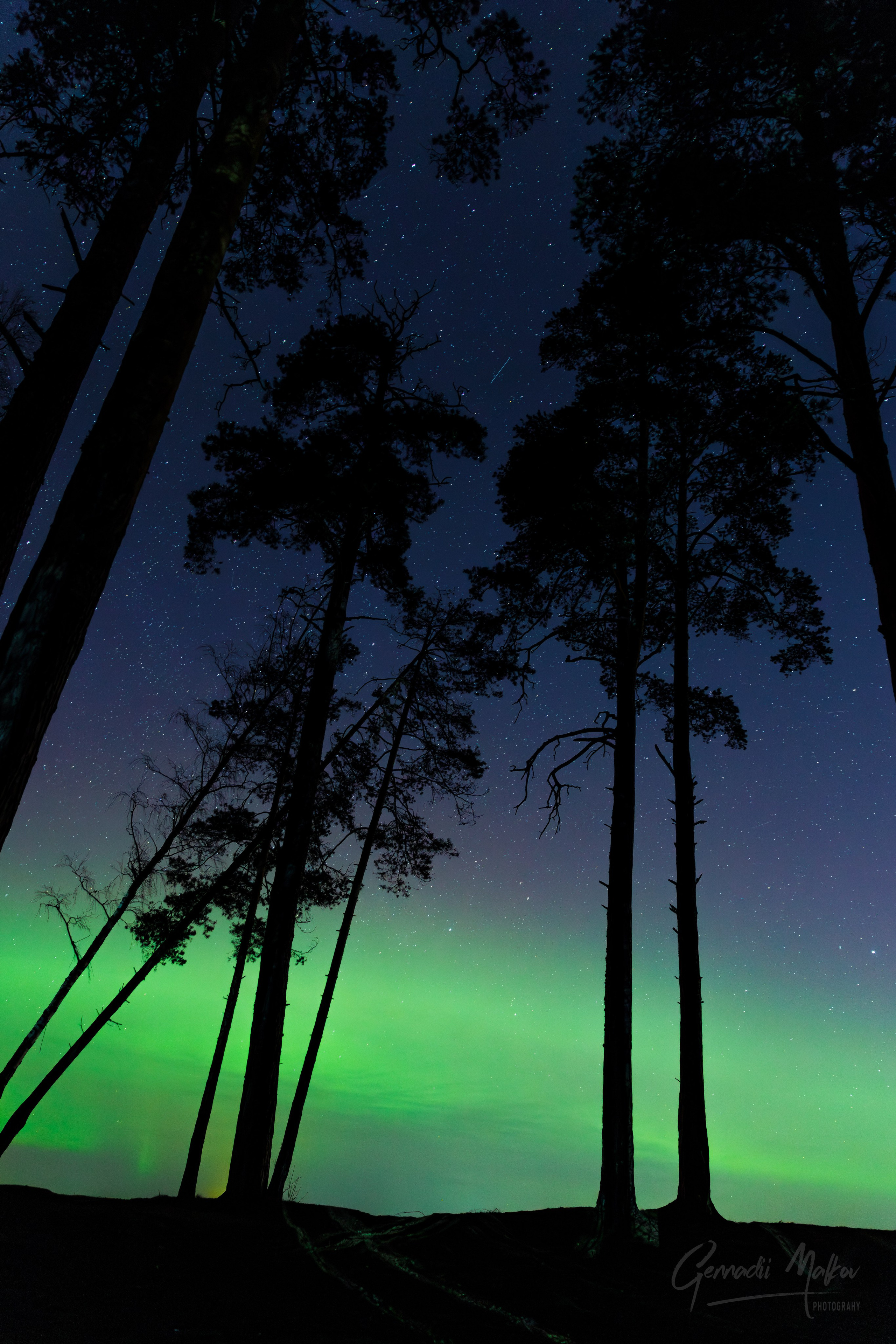 Северное сияние Aurora