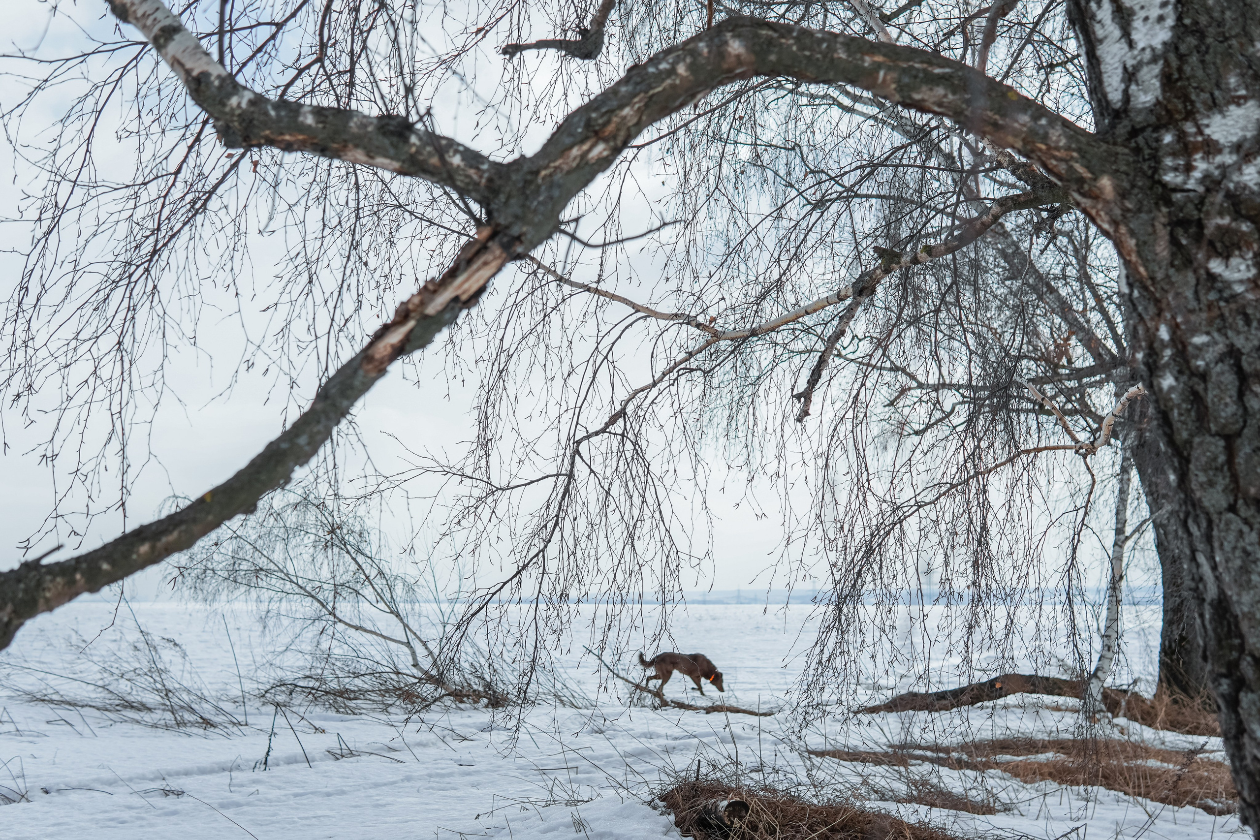 Без людей. Фотограф и ретушер в Москве Екатерина Нарубина