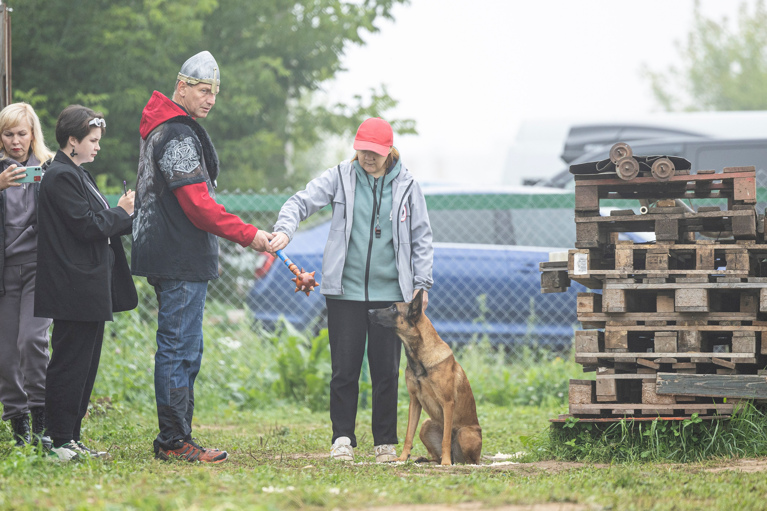 Соревнования по Мондьорингу г. Вологда 10-11.08.2024. Фотограф-анималист Анна Маринич