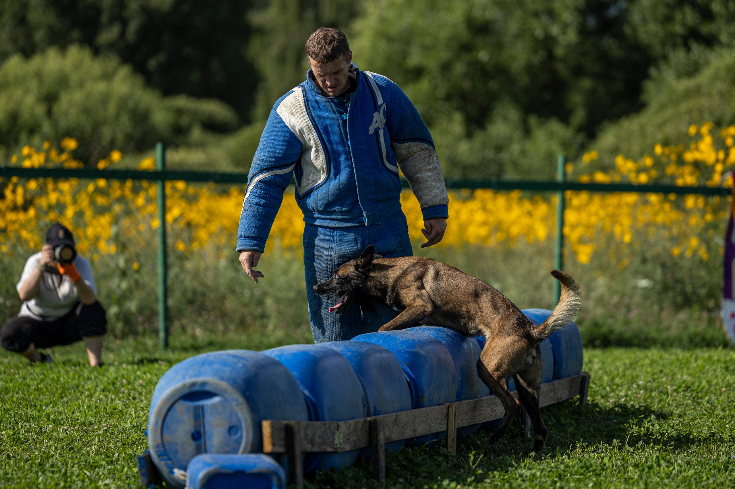 Соревнования по Мондьорингу г. Вологда 10-11.08.2024. Фотограф-анималист Анна Маринич