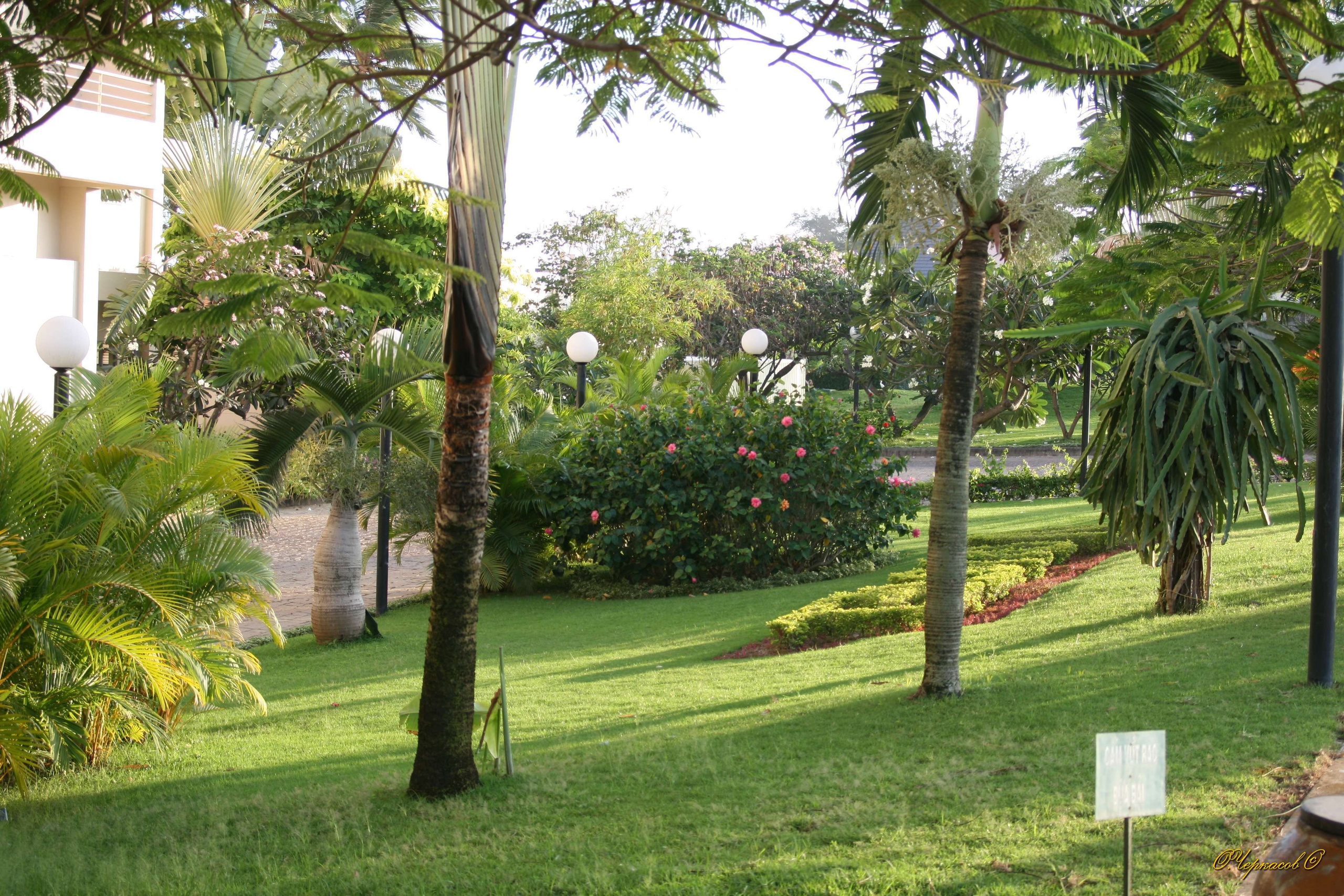 Вьетнам 2008 г. Улица, люди, жизнь…