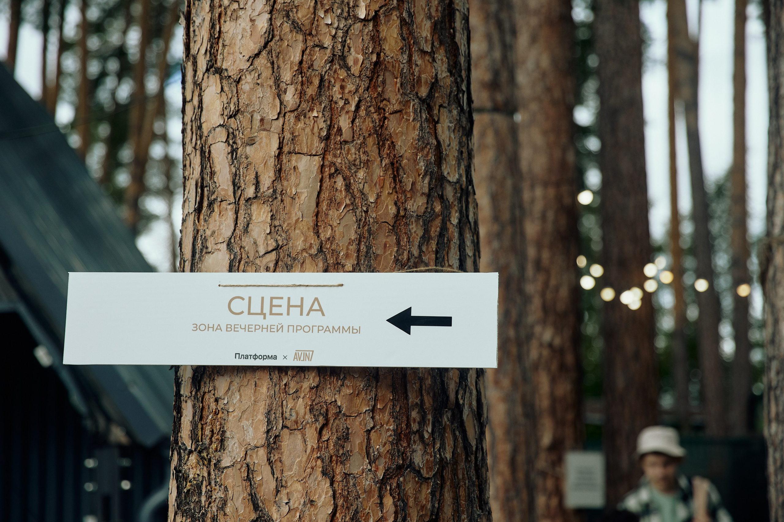 AVLN TEN YEARS. Дмитрий Мазуркевич: Профессиональный Репортажный Фотограф