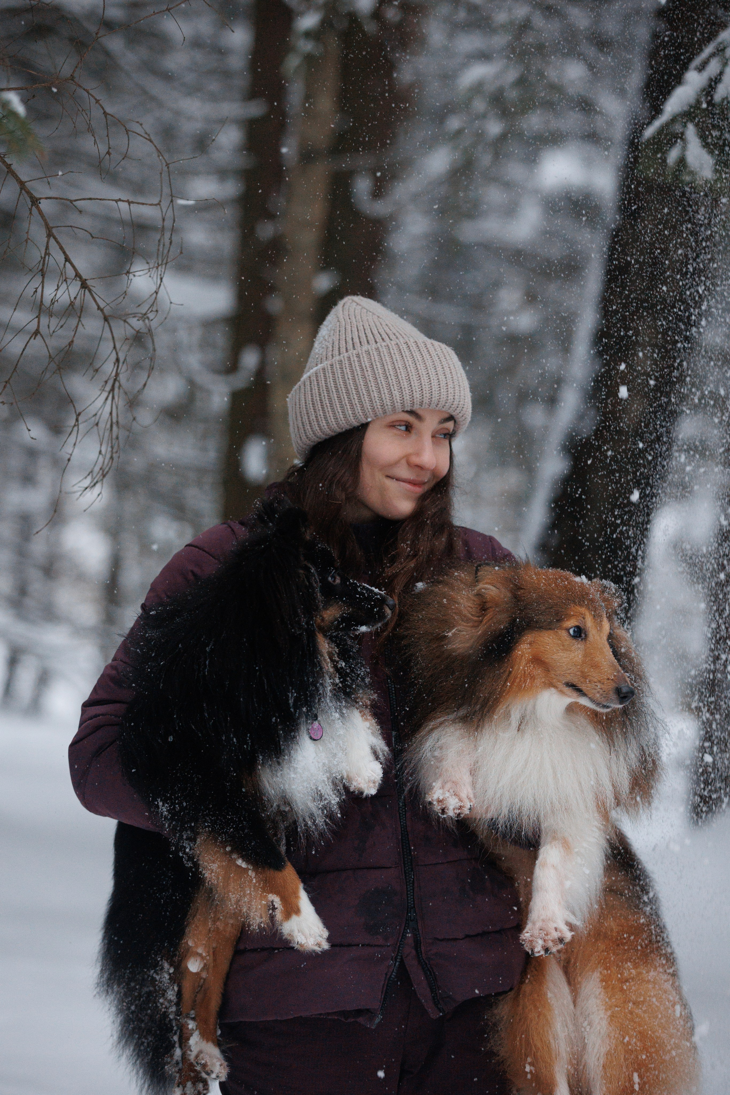 Даша и компания. Фотограф анималист Кристина Карпова, Москва
