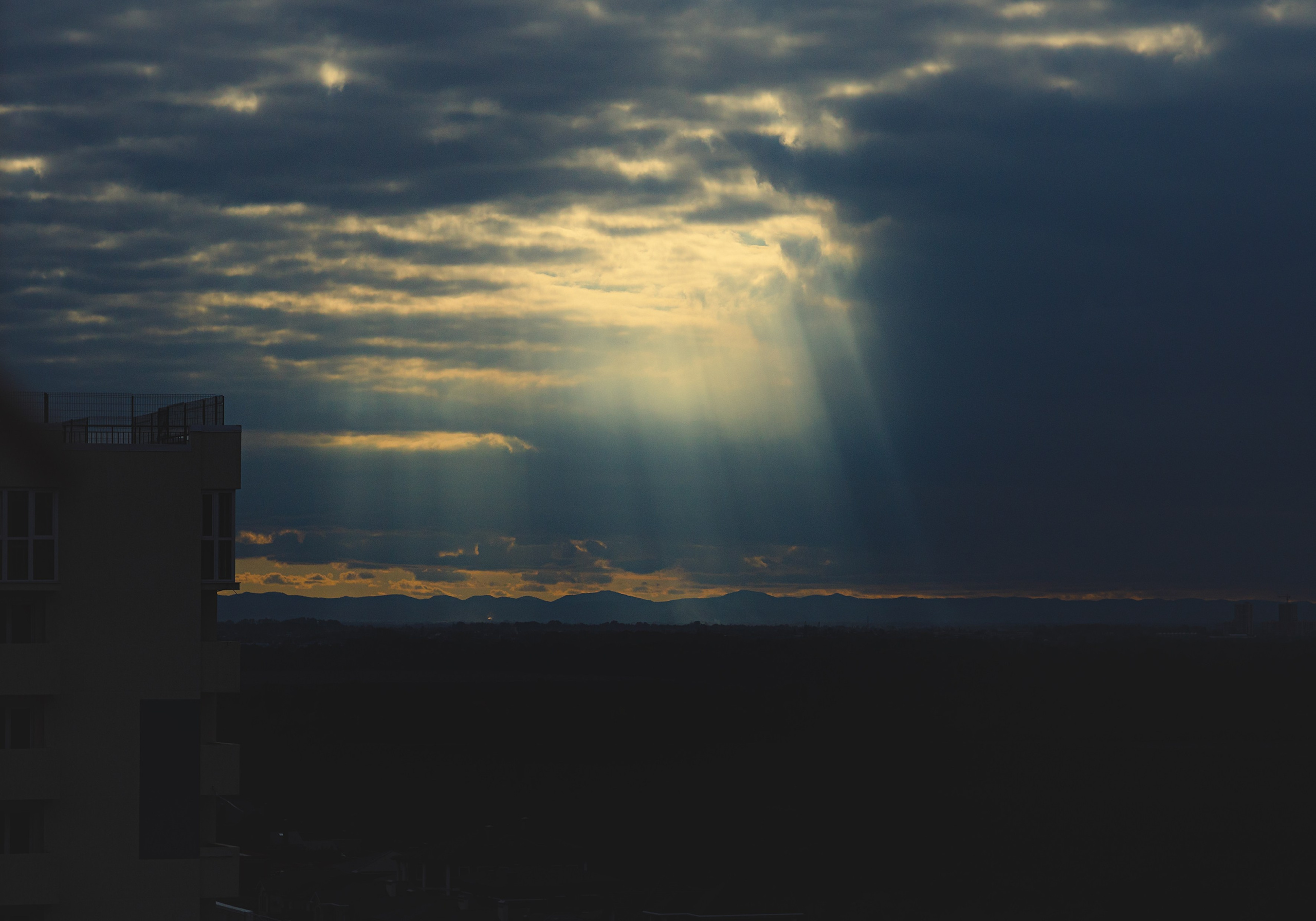 Проект «366»|2024|Фото каждый день. LENA GRACE photographer ||ЛЕНА ГРЭЙС фотограф