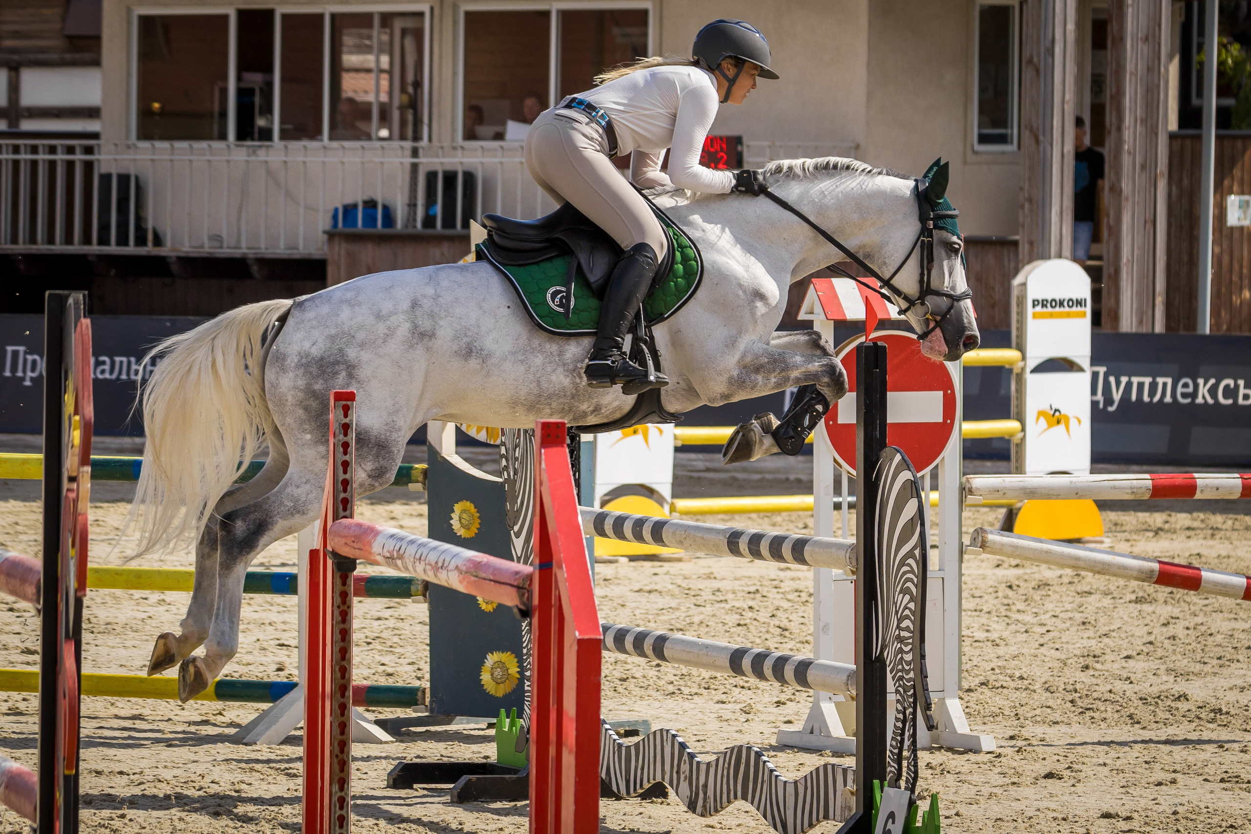 Конный спорт. Photomantis