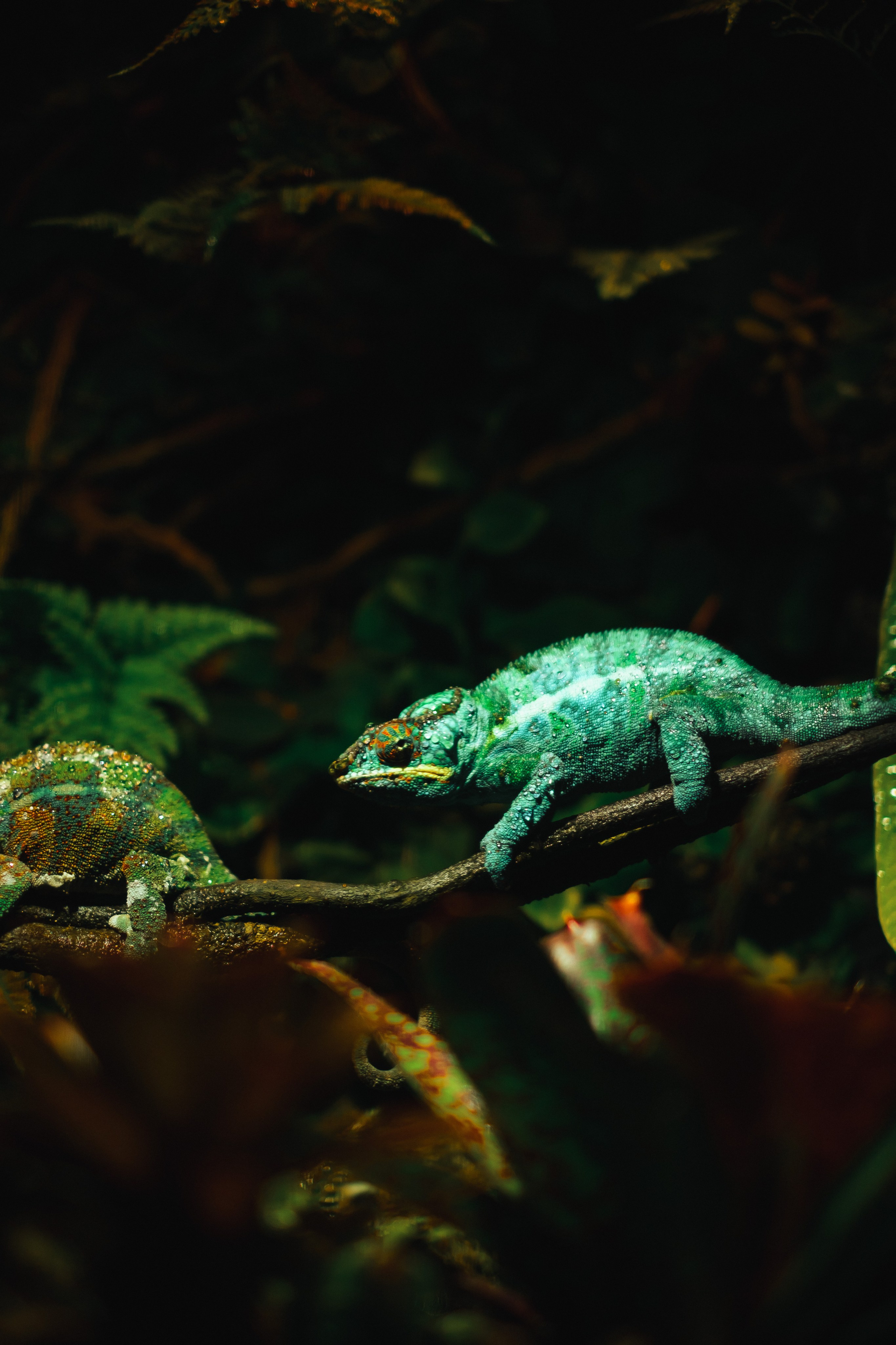 Океанариум. Фотограф Благовещенска Яна