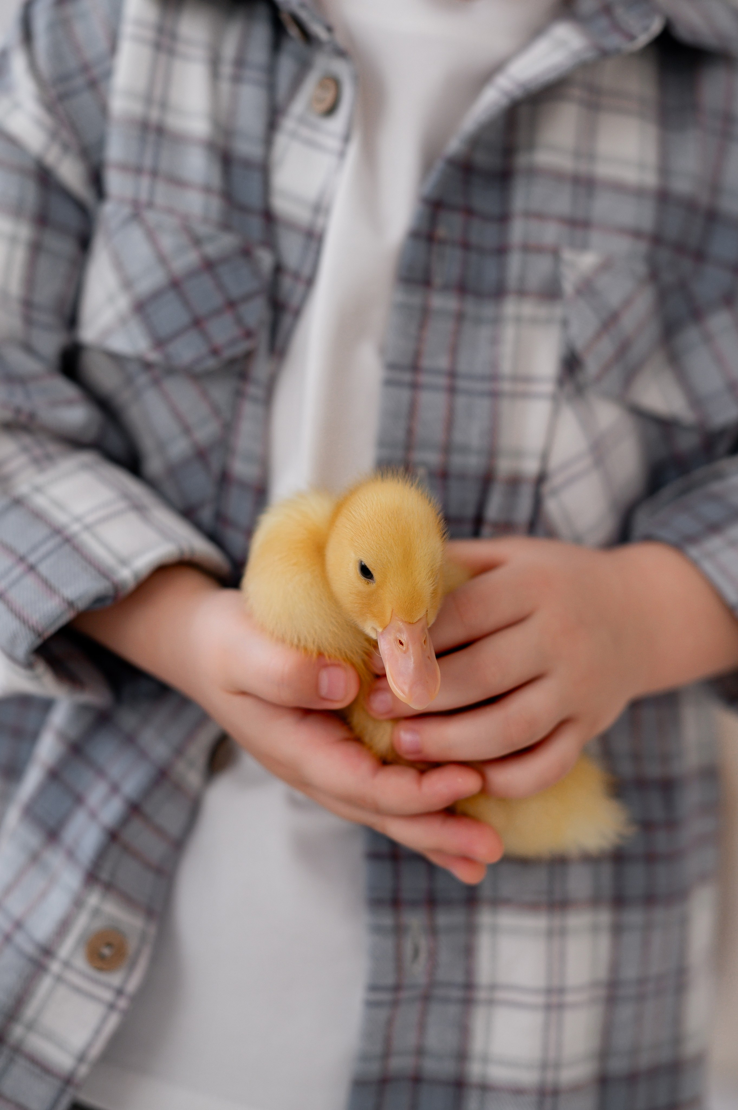 Лев Арина Вика Алена. Фотограф Татьяна Иванчикова