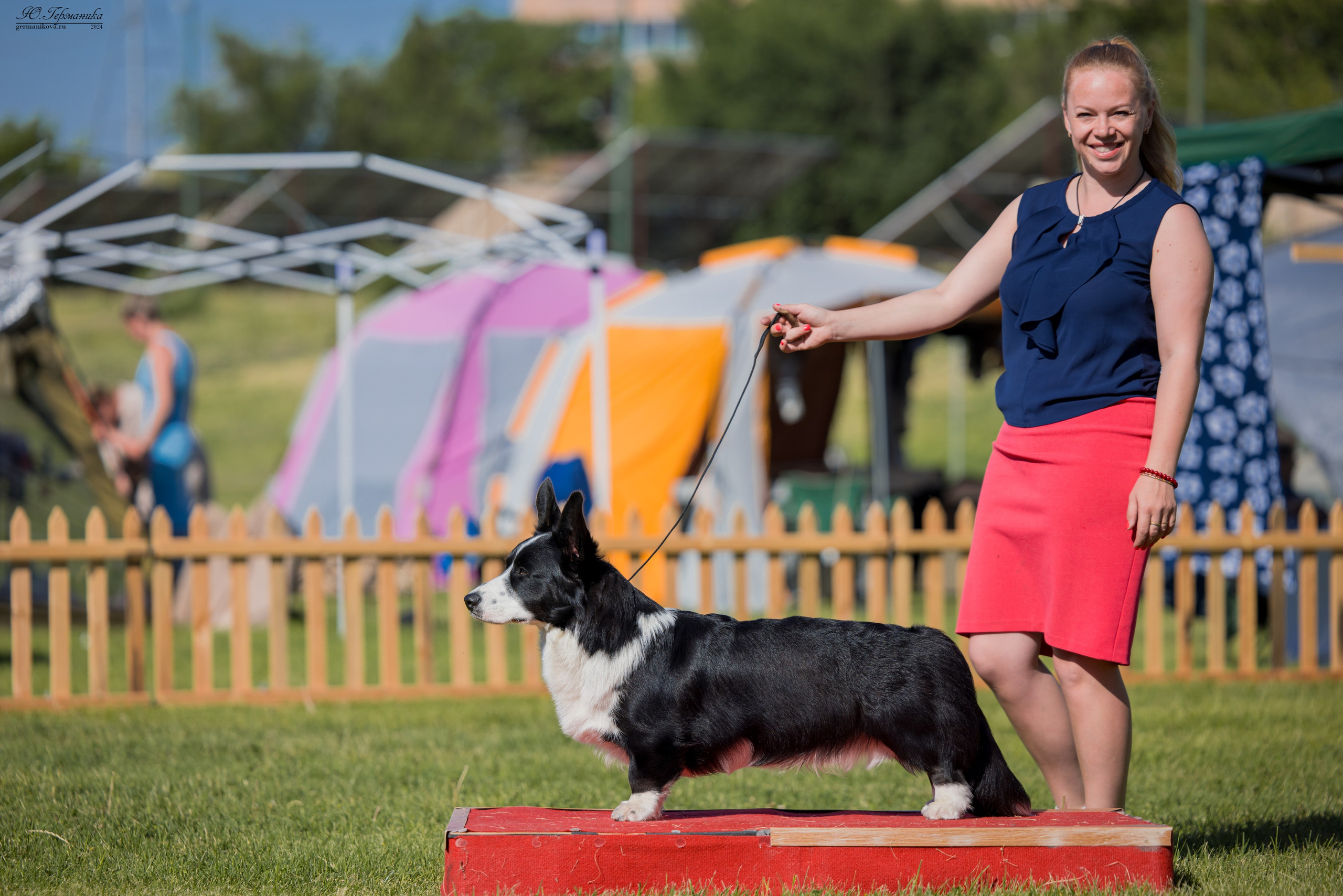 Ереван 3-5.06.2024. Фотограф-анималист Юлия Германика