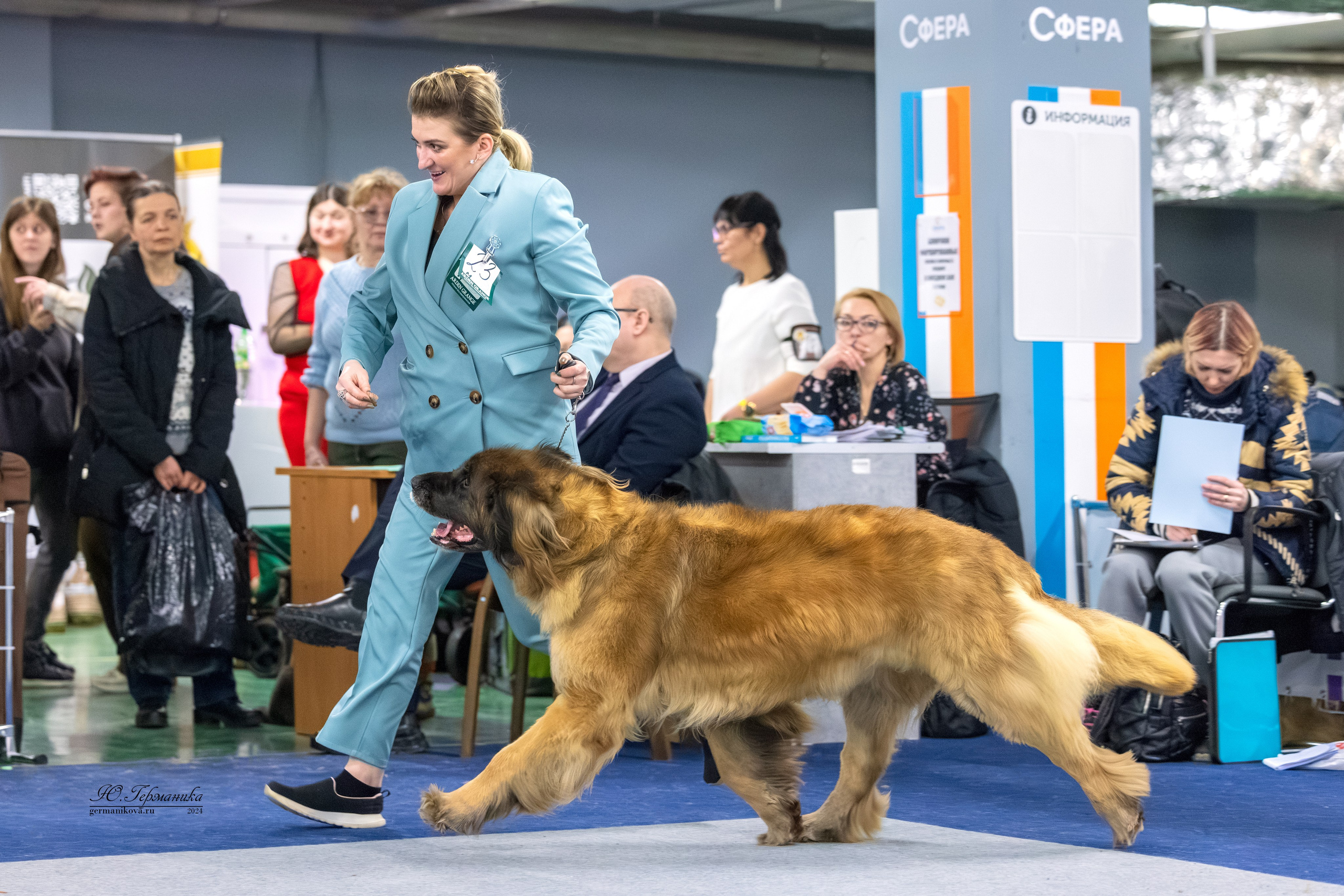 Сфера 17.03.2024. Фотограф-анималист Юлия Германика