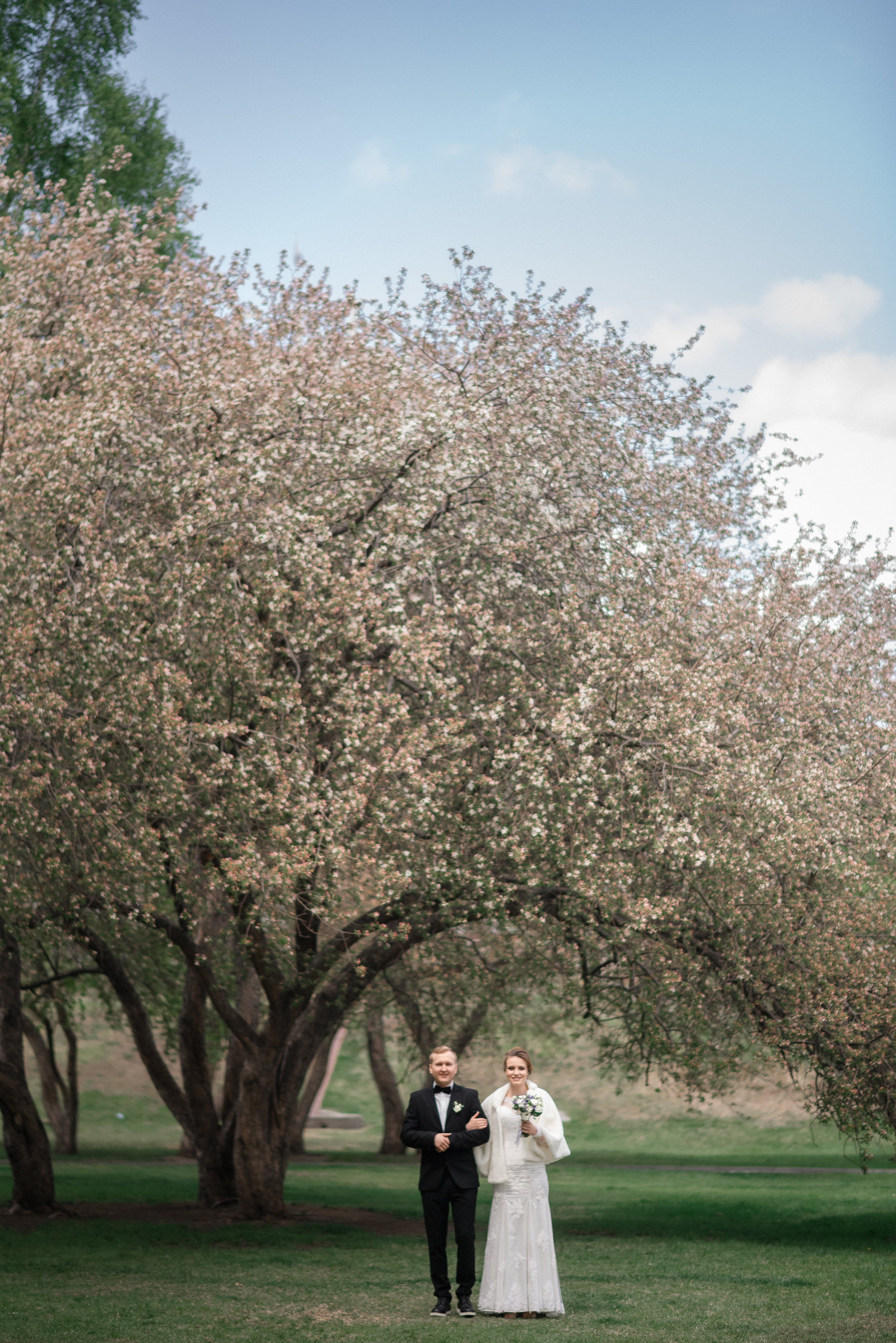 Свадьба Юленьки и Ильи. Сергей Богомолов. Свадебный и семейный фотограф