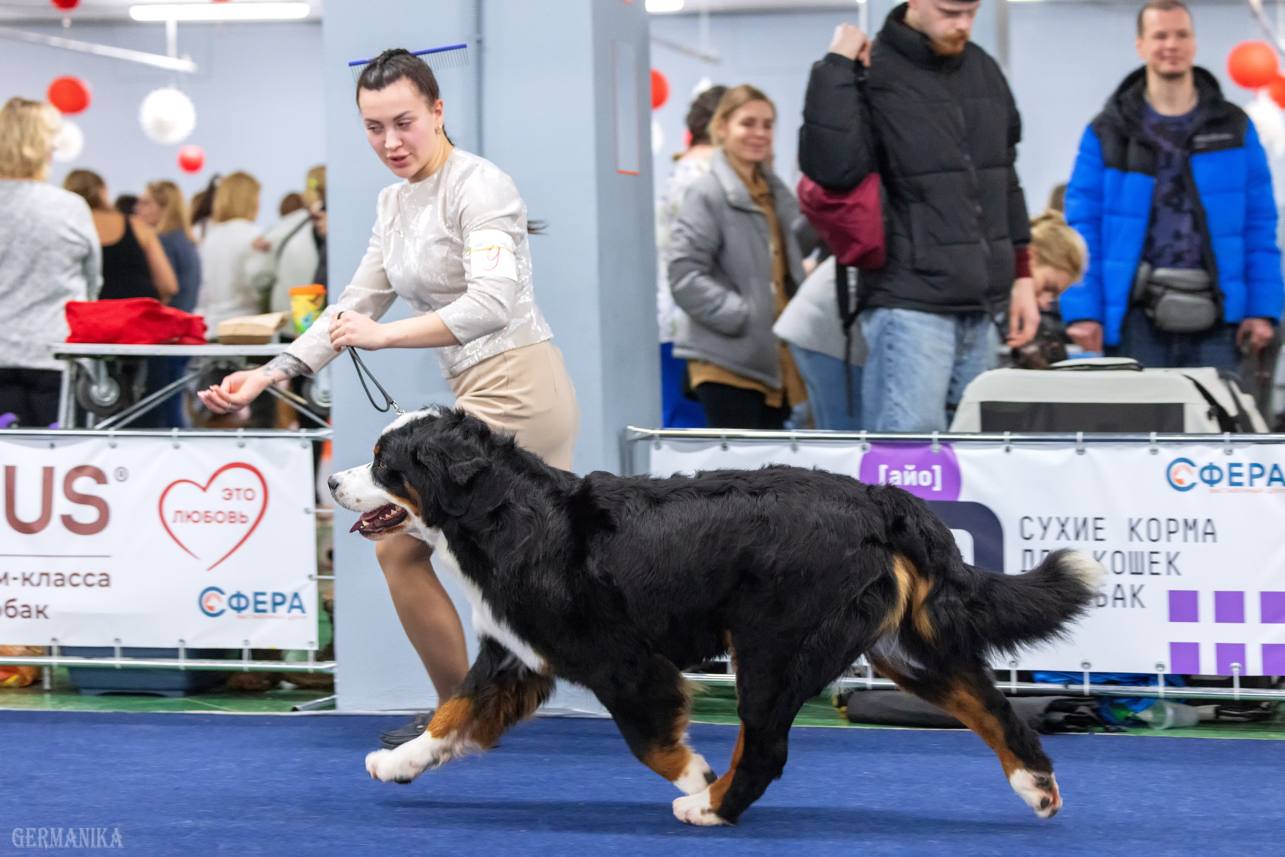 Сфера 28.01. и 4.02.2024. Фотограф-анималист Юлия Германика