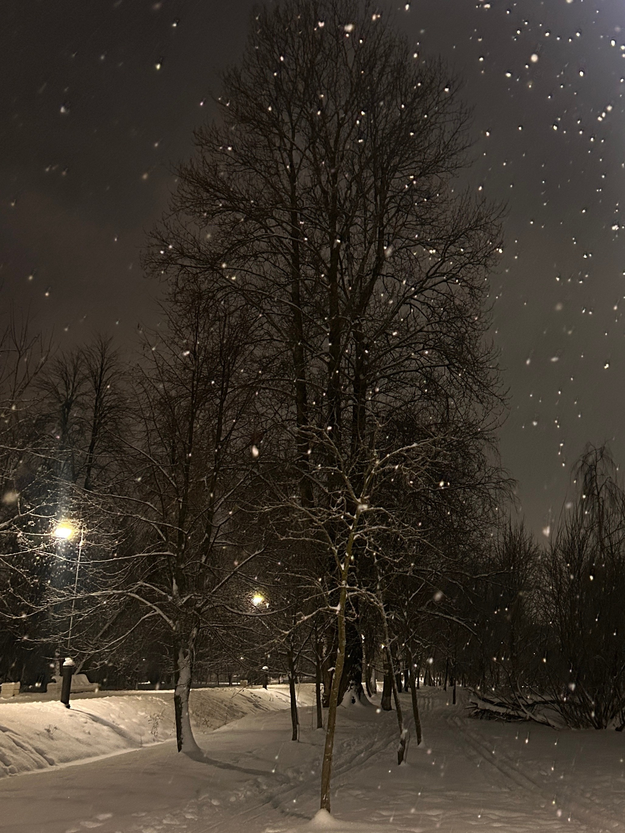 Зимняя сказка. Фотокружок «Видоискатель» ГБОУ СОШ № 291