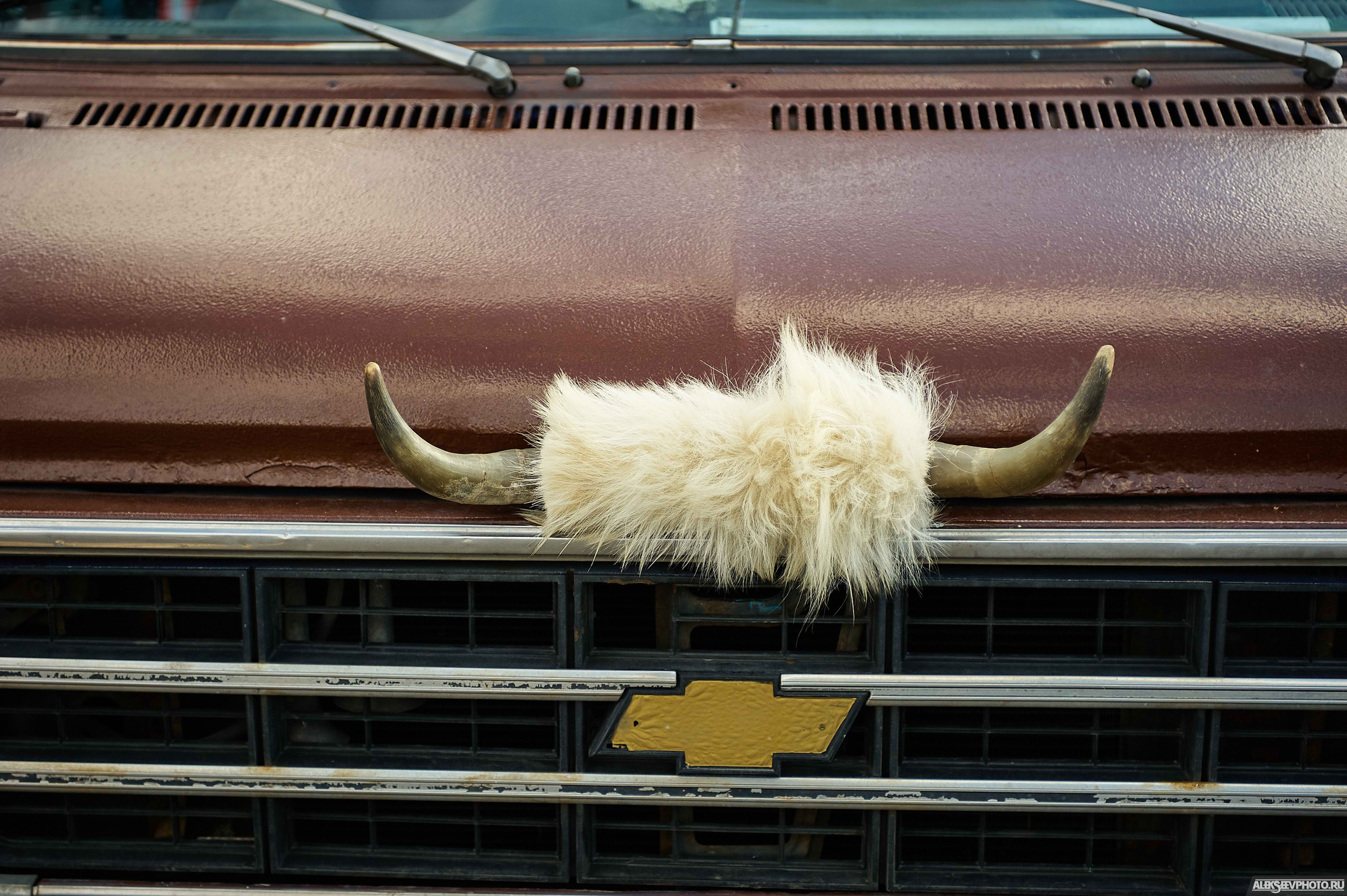 Кастом Weekend 2021. Фотограф Алексей Алексеев