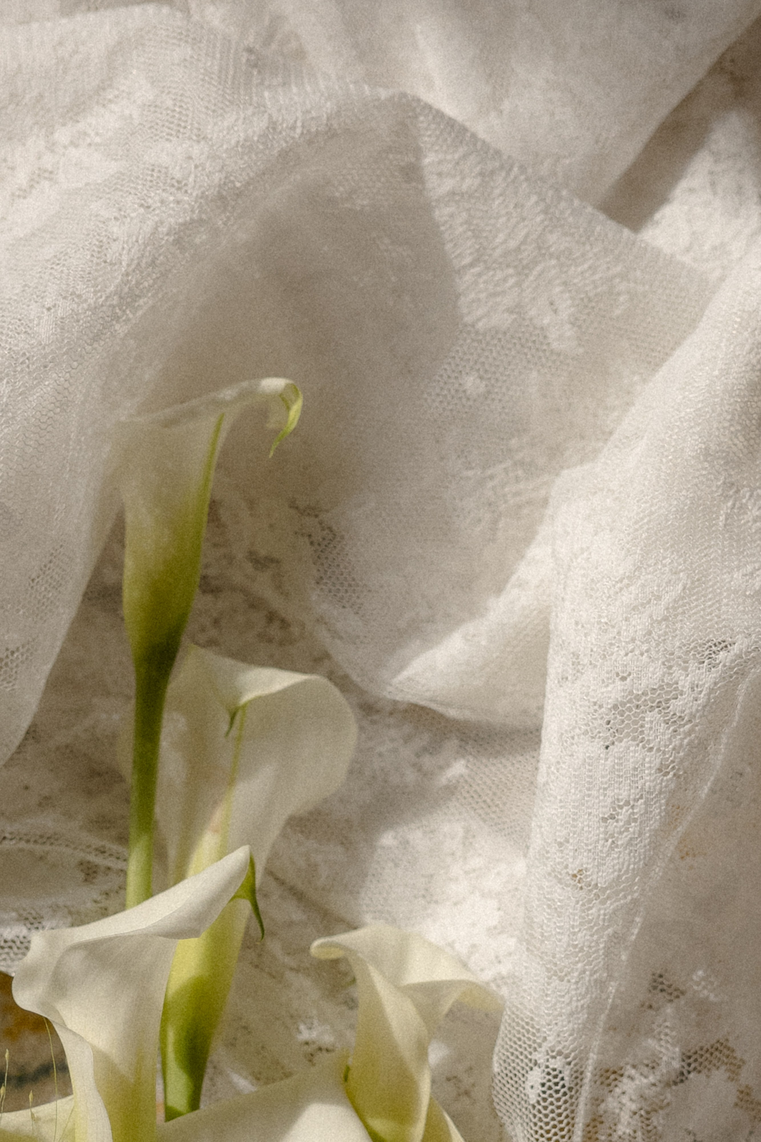 A|N. Свадебный фотограф Таня Караисаева