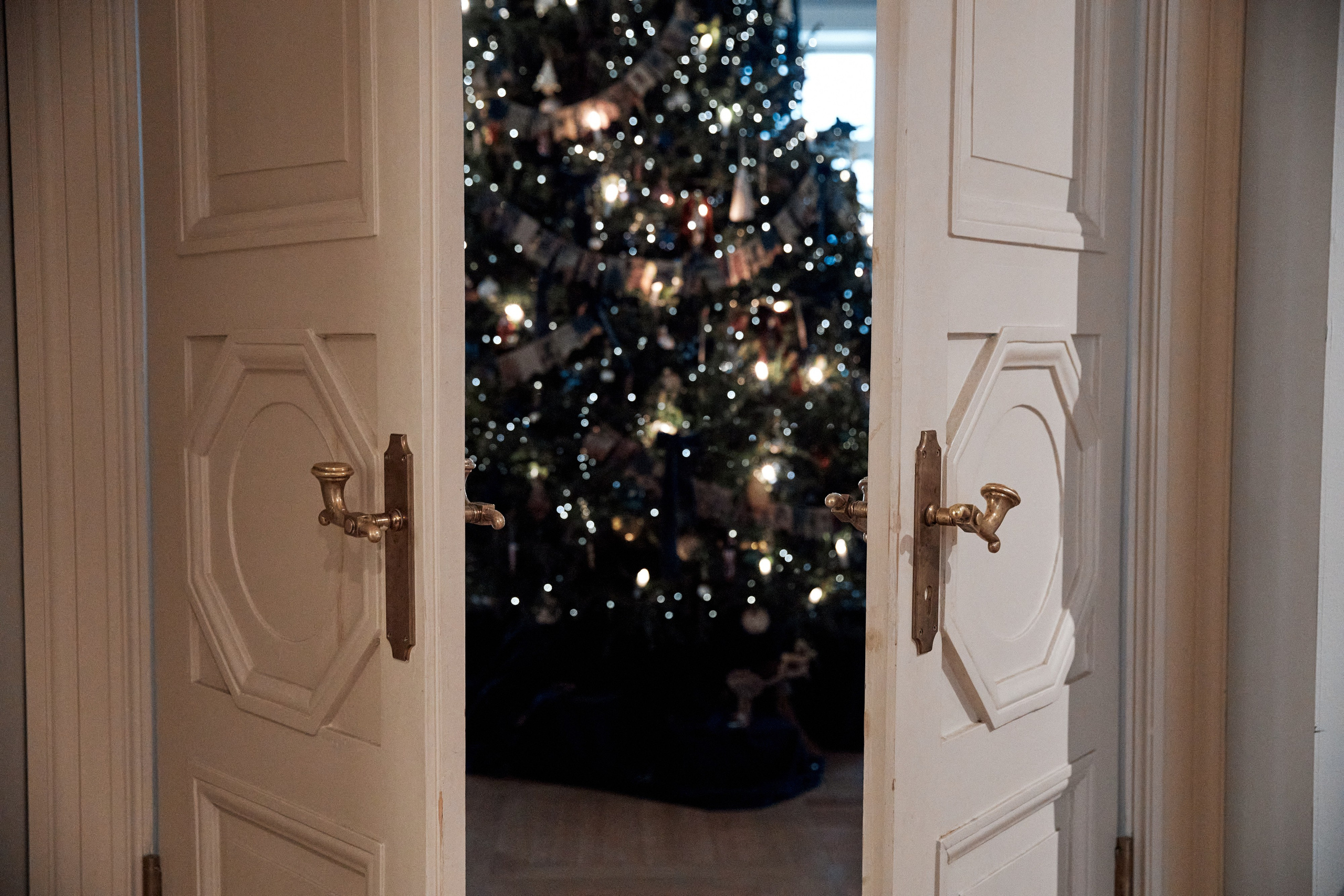 Nuance Ёлка. Свадебный фотограф Андрей Кочкин в Москве