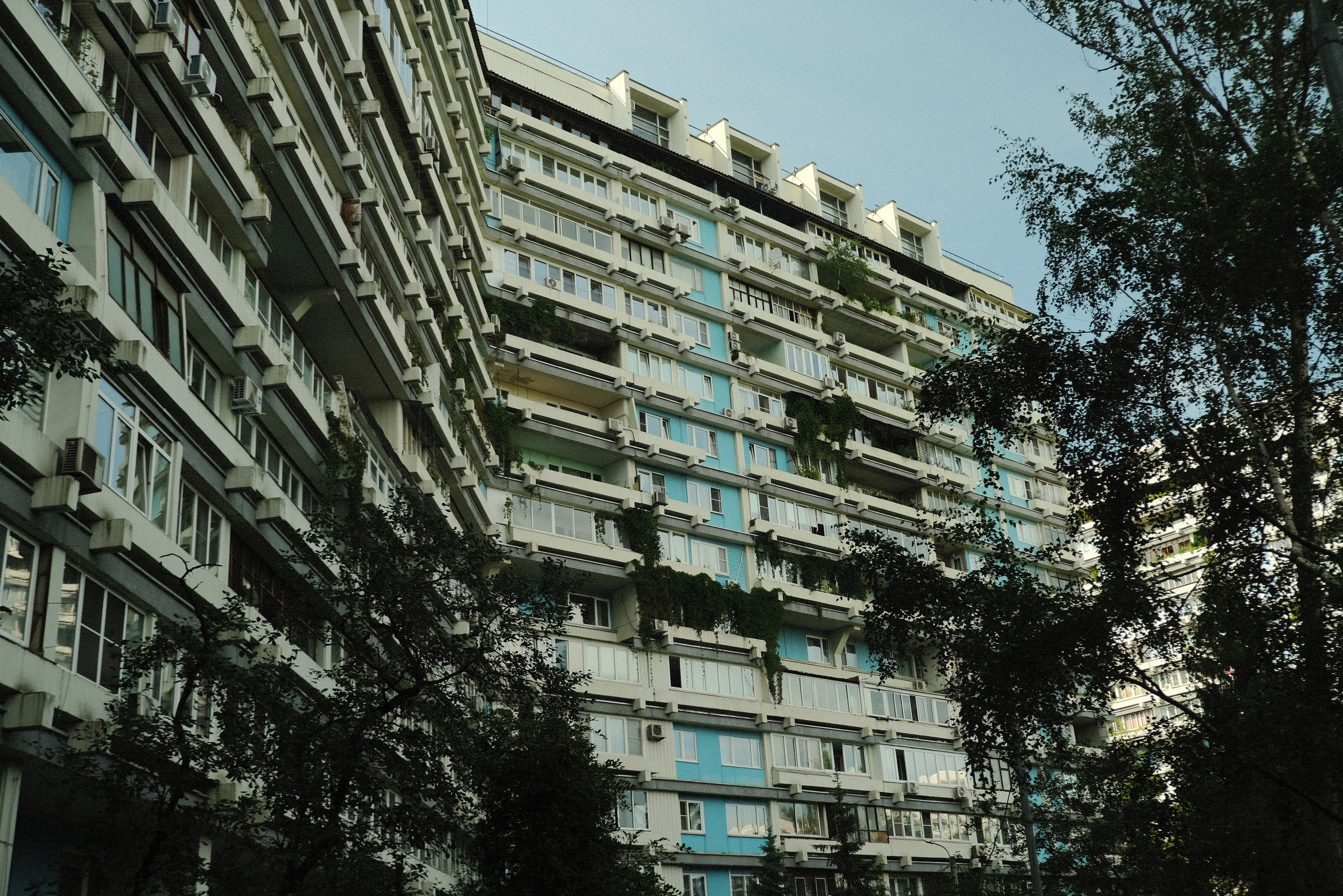 Абстракция. Уличный фотограф Владимир Борисов. Москва