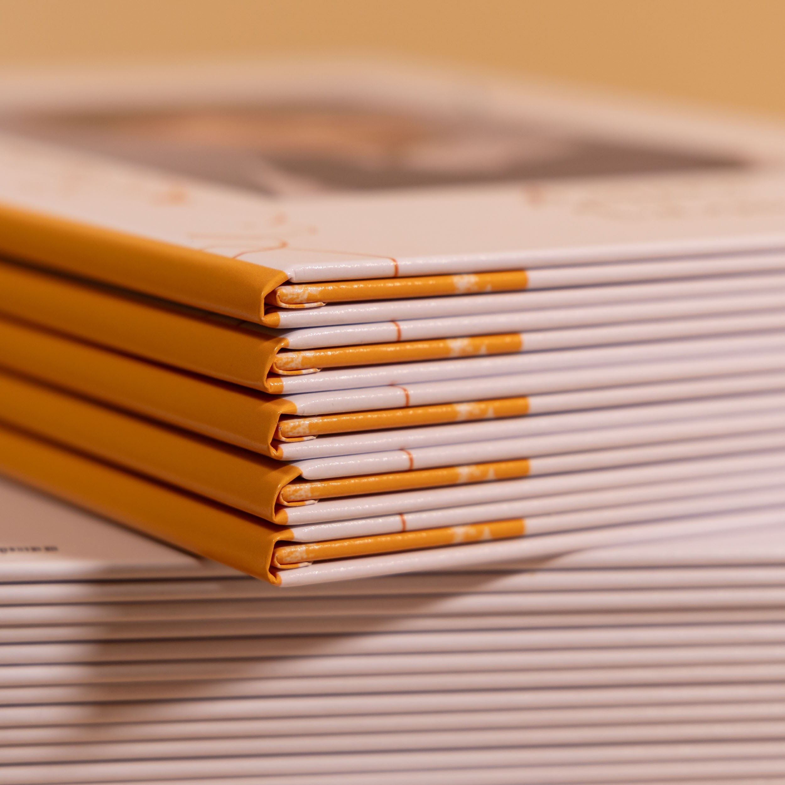 Эстетичный сгиб выпускной папки Трюмо