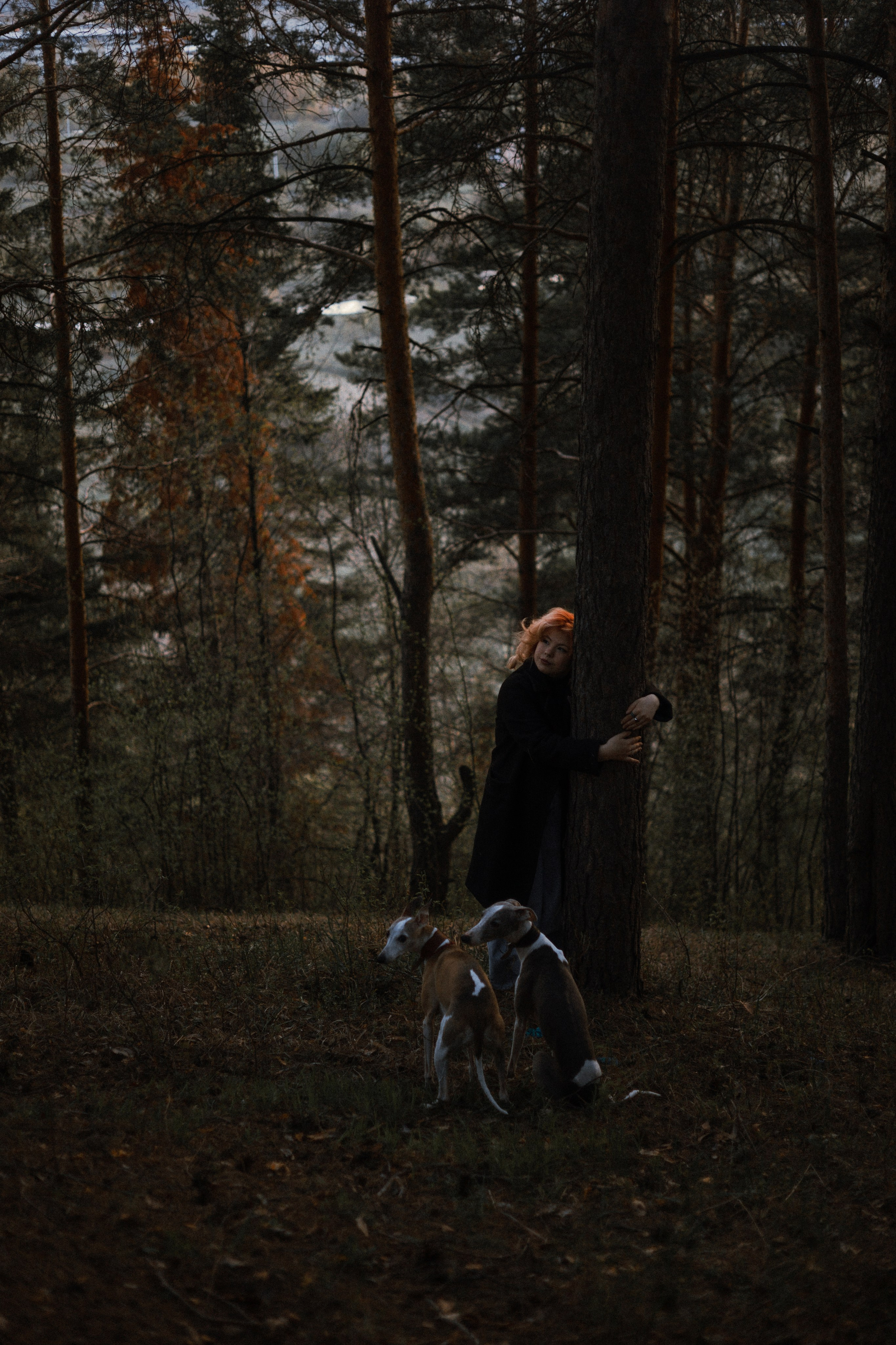 Вика, Джем и Белла. Фотограф-анималист Богданова Полина