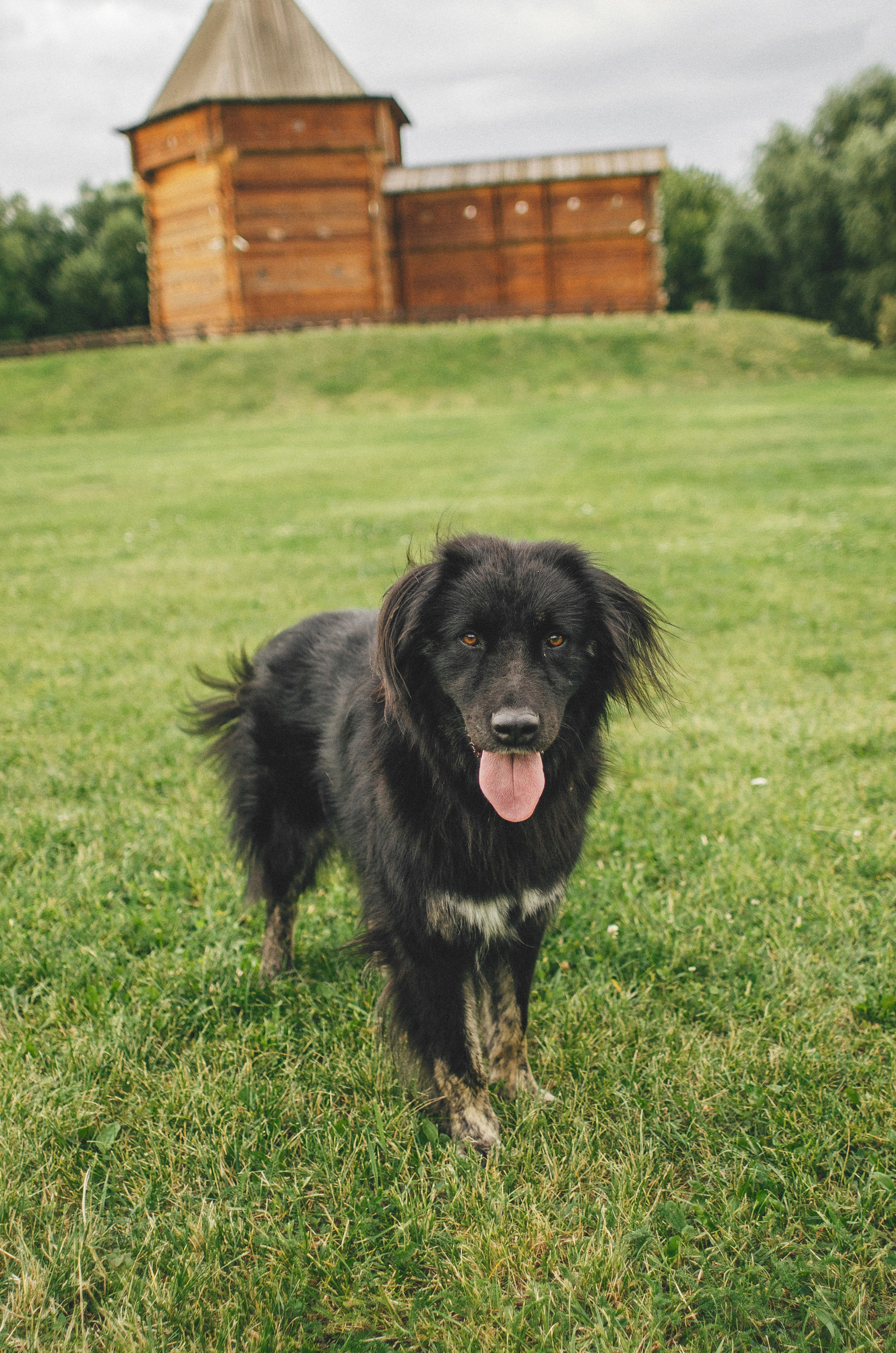 Анна и Марко. Фотограф-анималист Богданова Полина