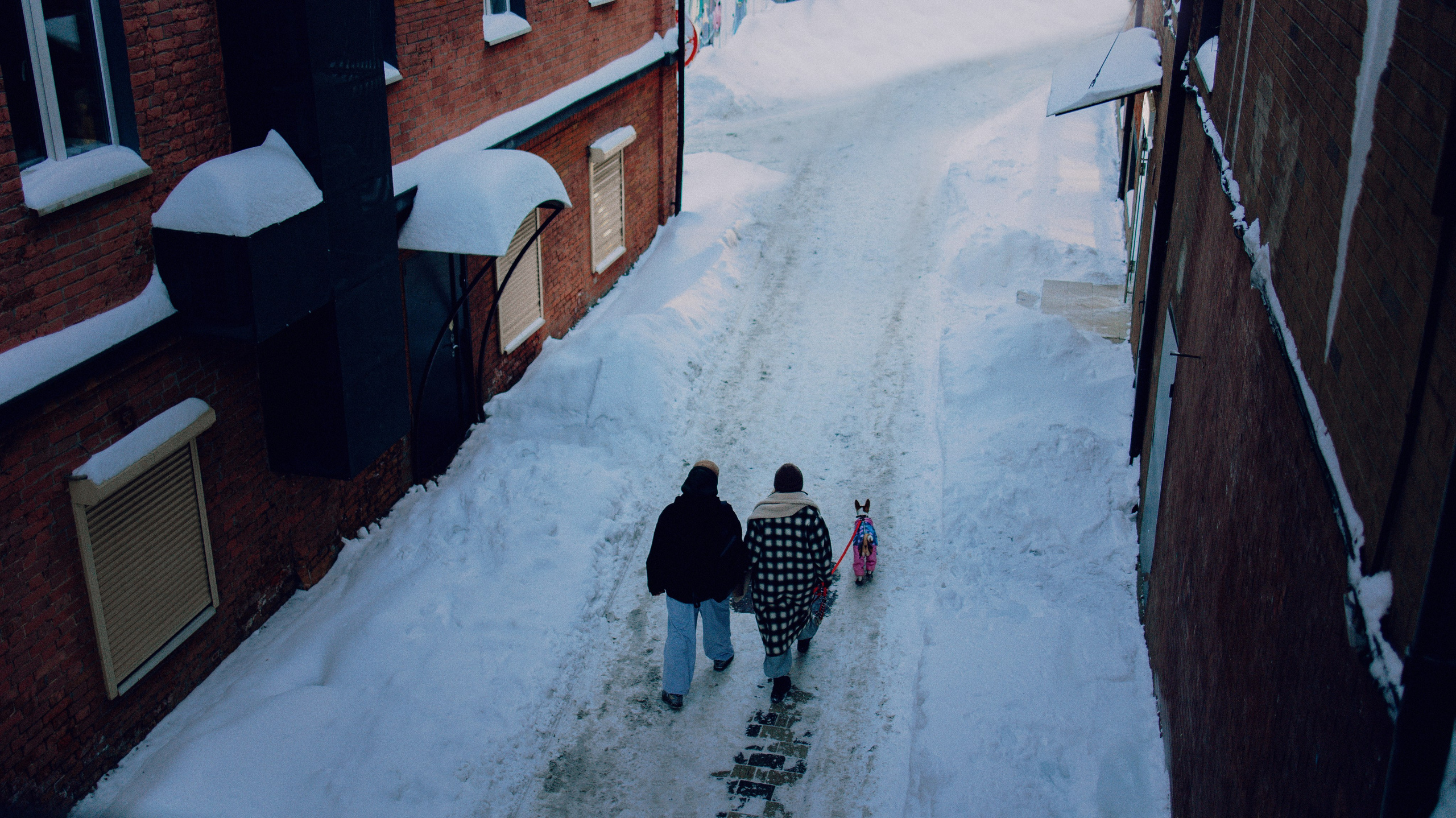 Люба, Никита и Бахати. Фотограф-анималист Богданова Полина