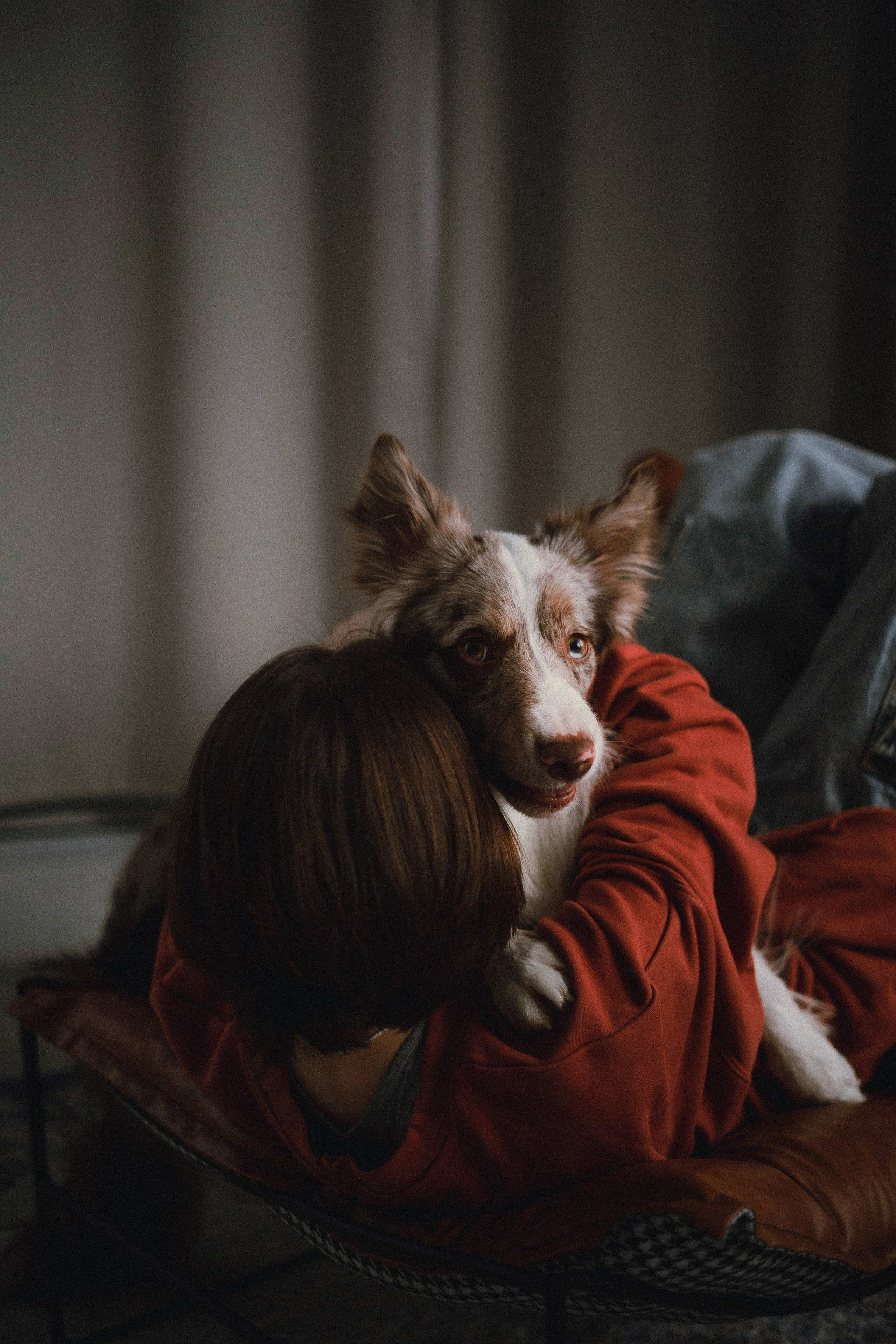 Аня и Дэймон. Фотограф-анималист Богданова Полина