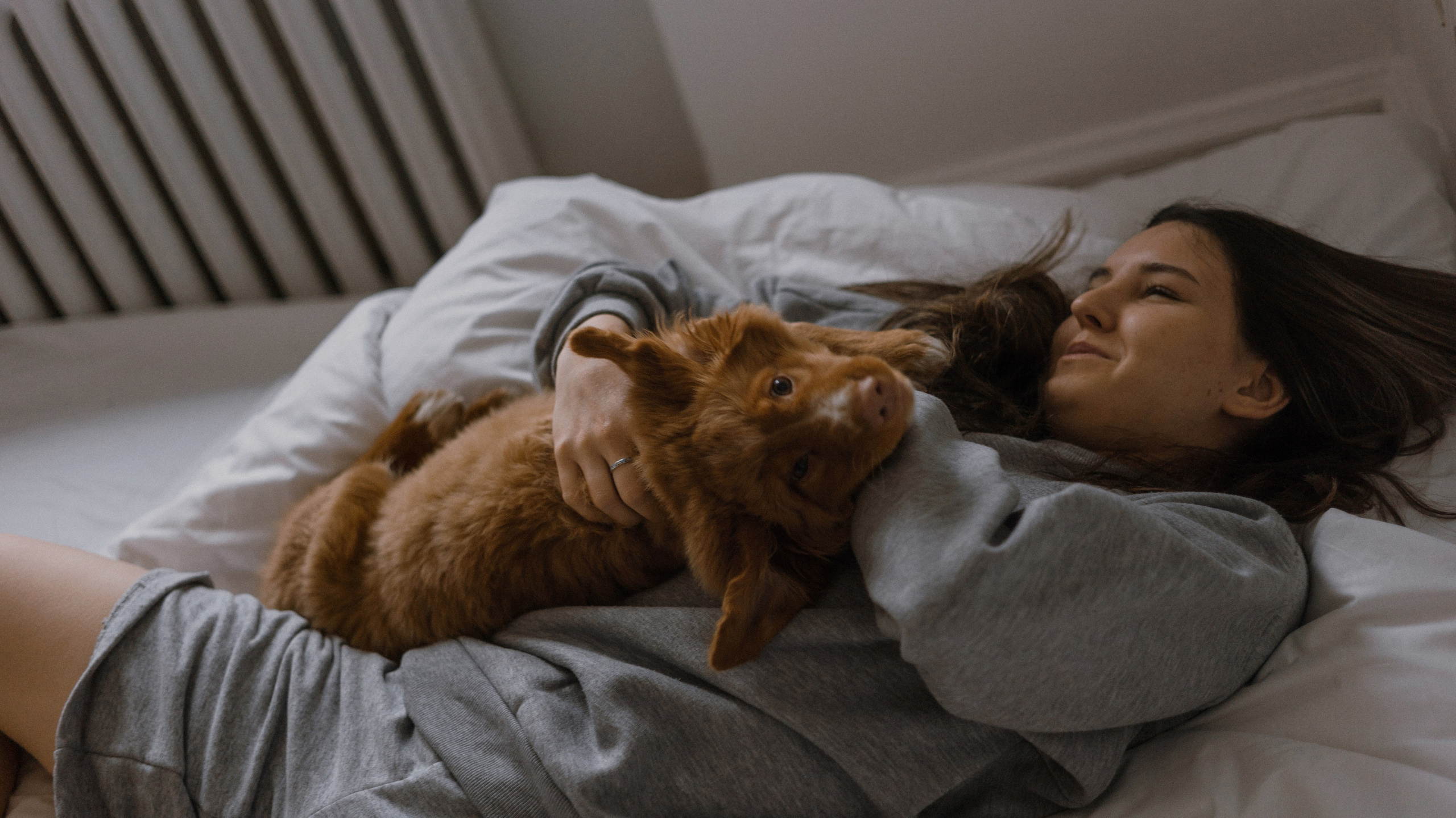 Маша, Одди и Нэвил. Фотограф-анималист Богданова Полина