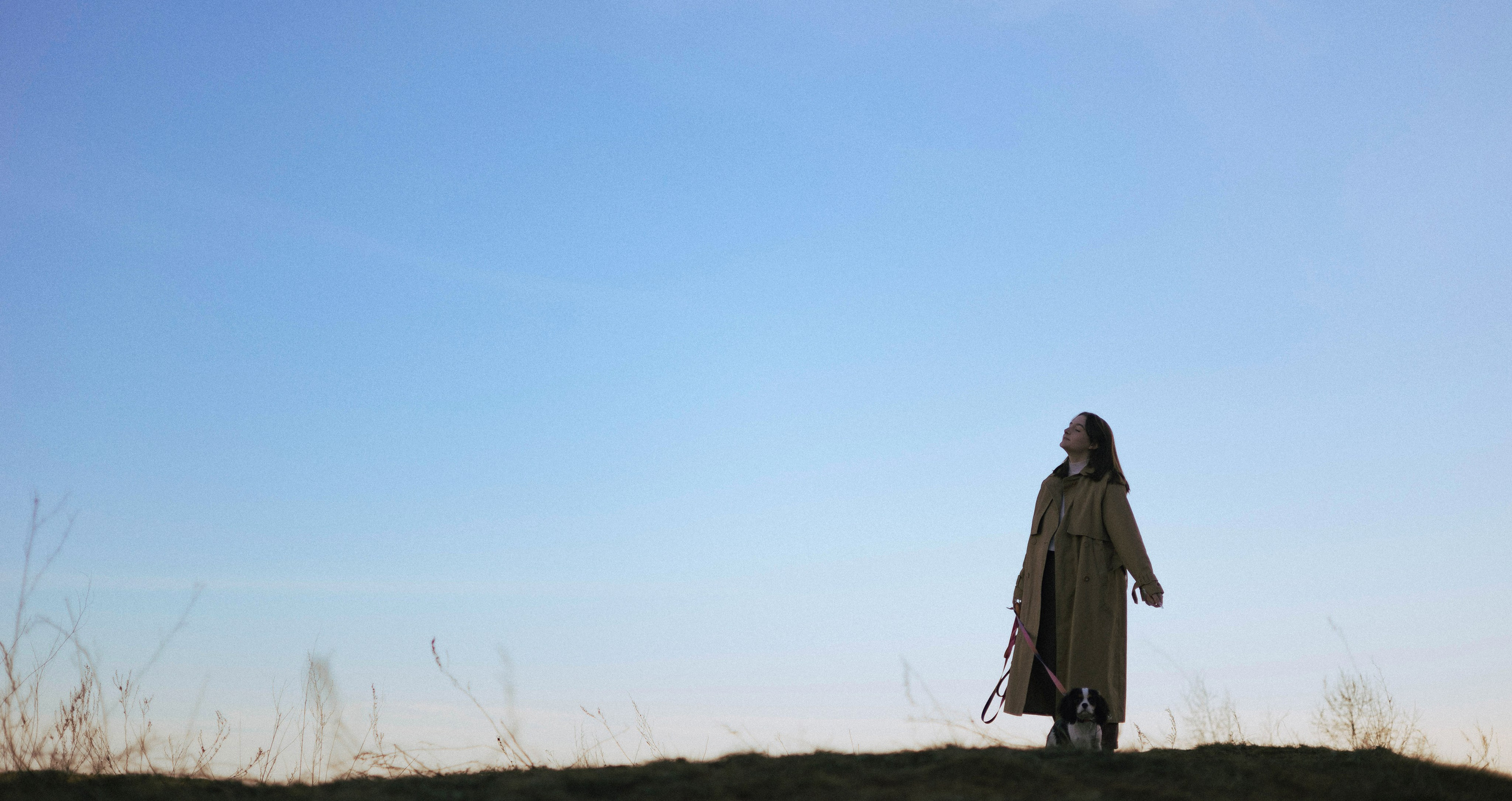 Ангелина и Йен. Фотограф-анималист Богданова Полина