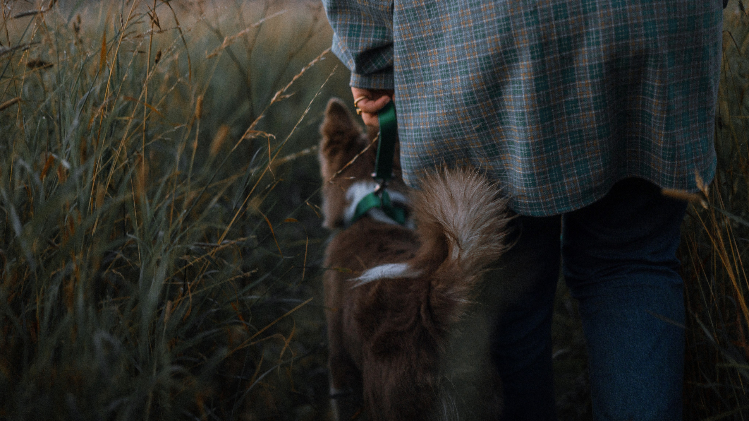 Полина и Паддингтон. Фотограф-анималист Богданова Полина