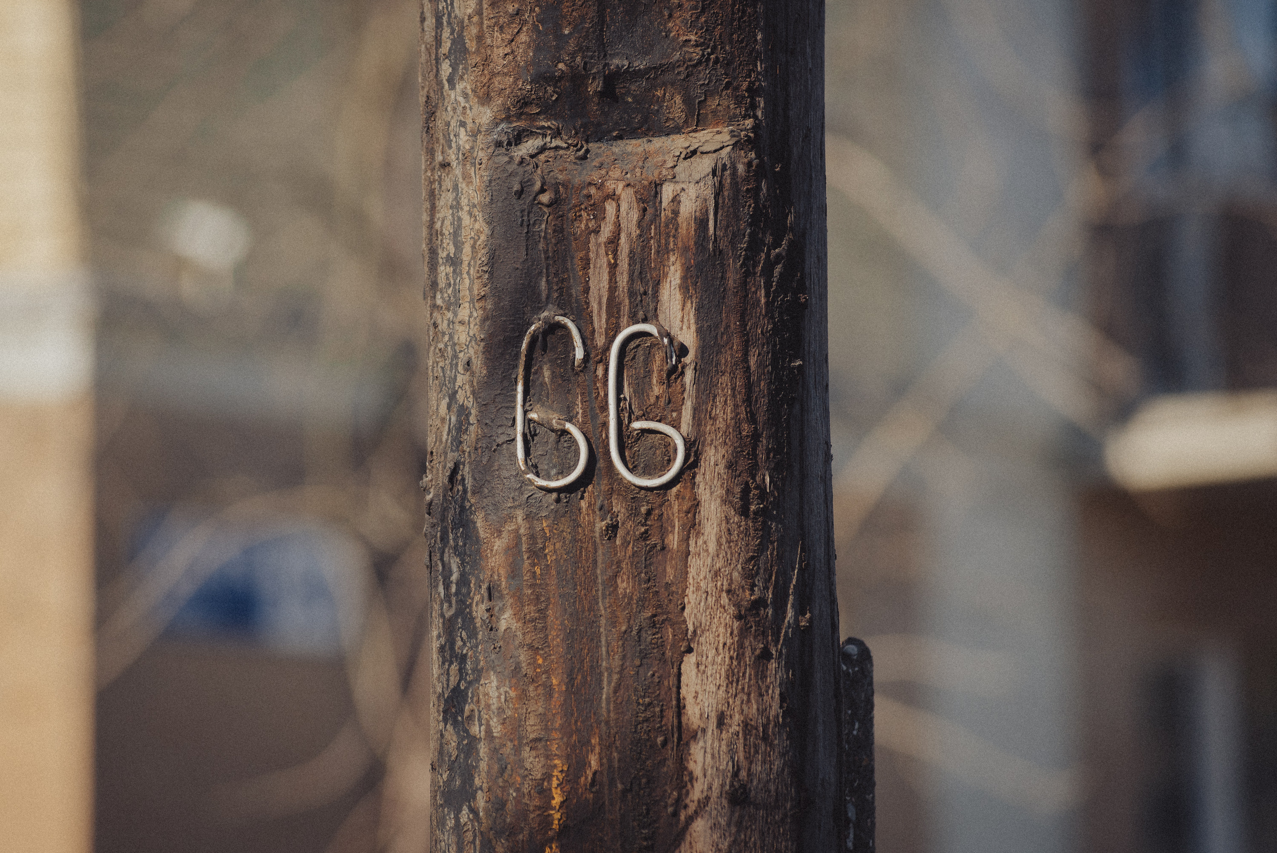 Проект #улицыгорода. Ярославль, ул. Стачек. Документальный фотограф Илья Тихановский