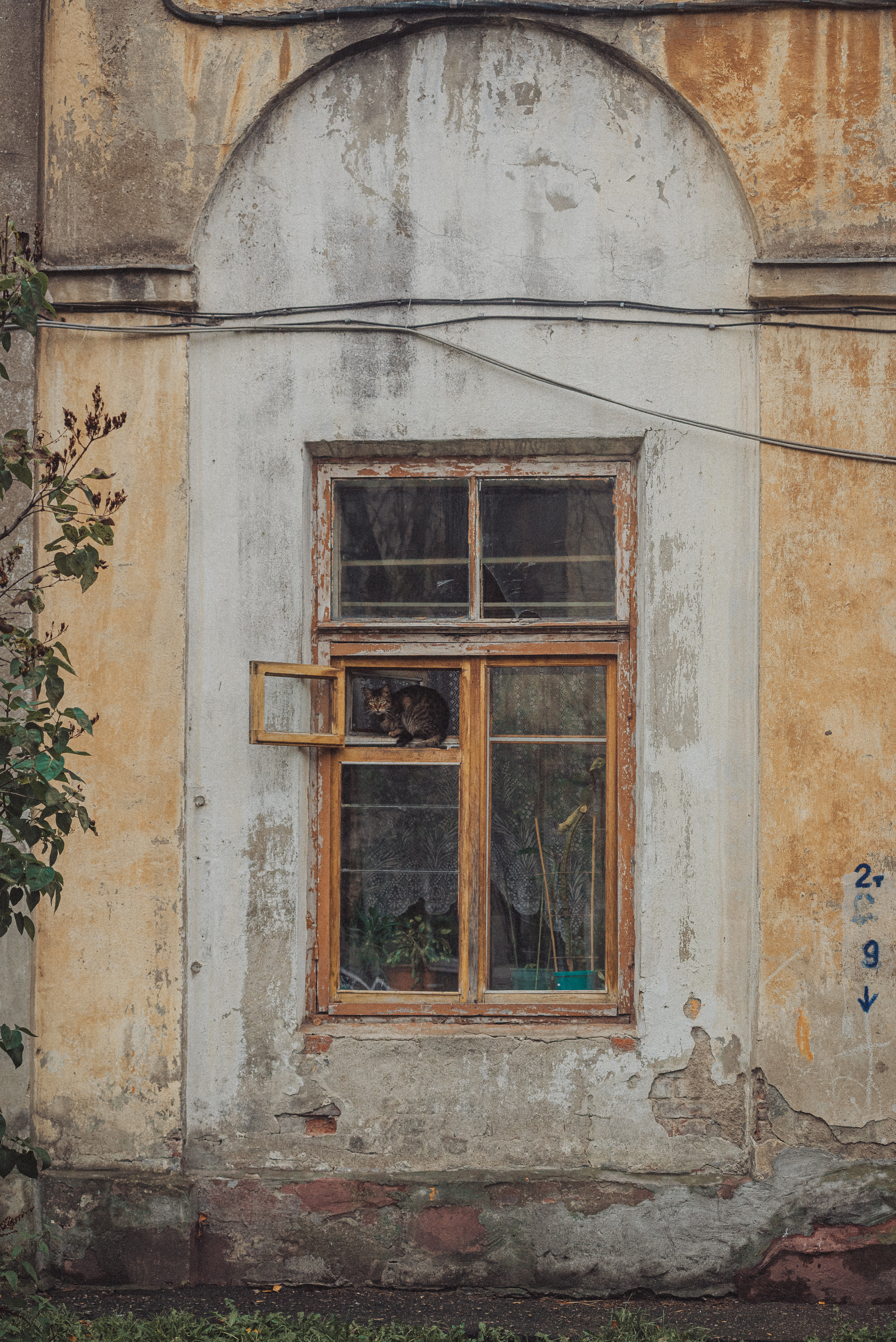 Проект #улицыгорода. Ярославль, ул. Стачек. Документальный фотограф Илья Тихановский