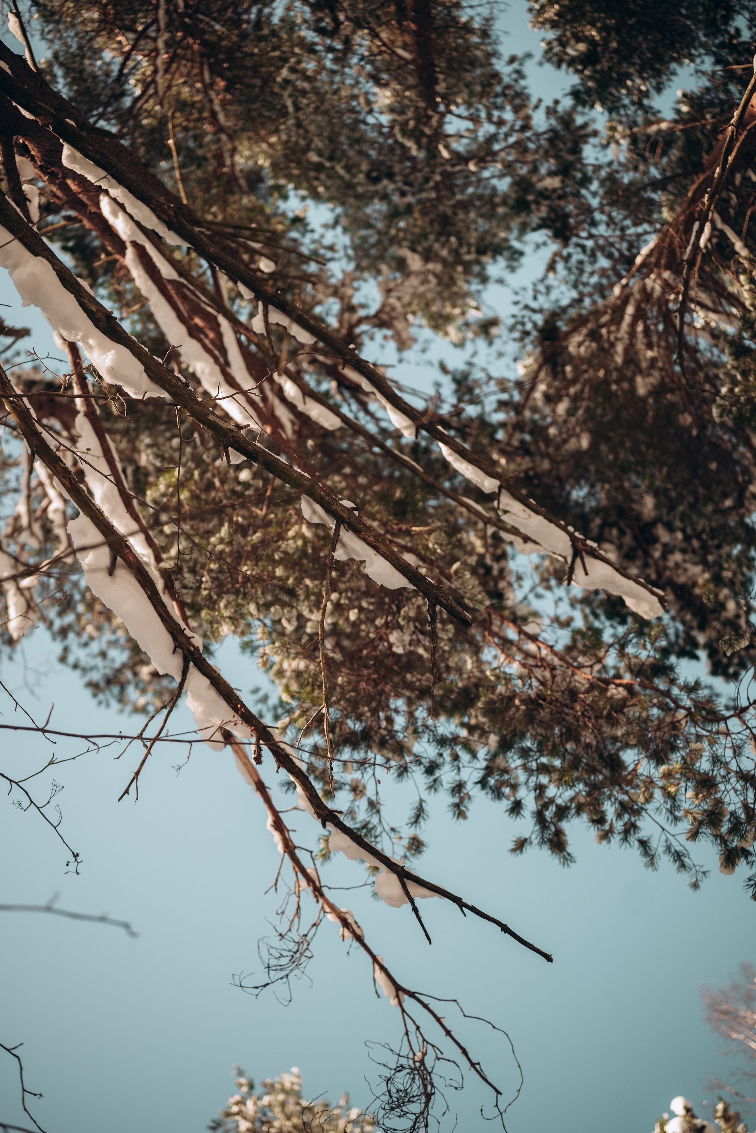 Семейные съёмки. Семейный фотограф в Москве Дарья Пузикова