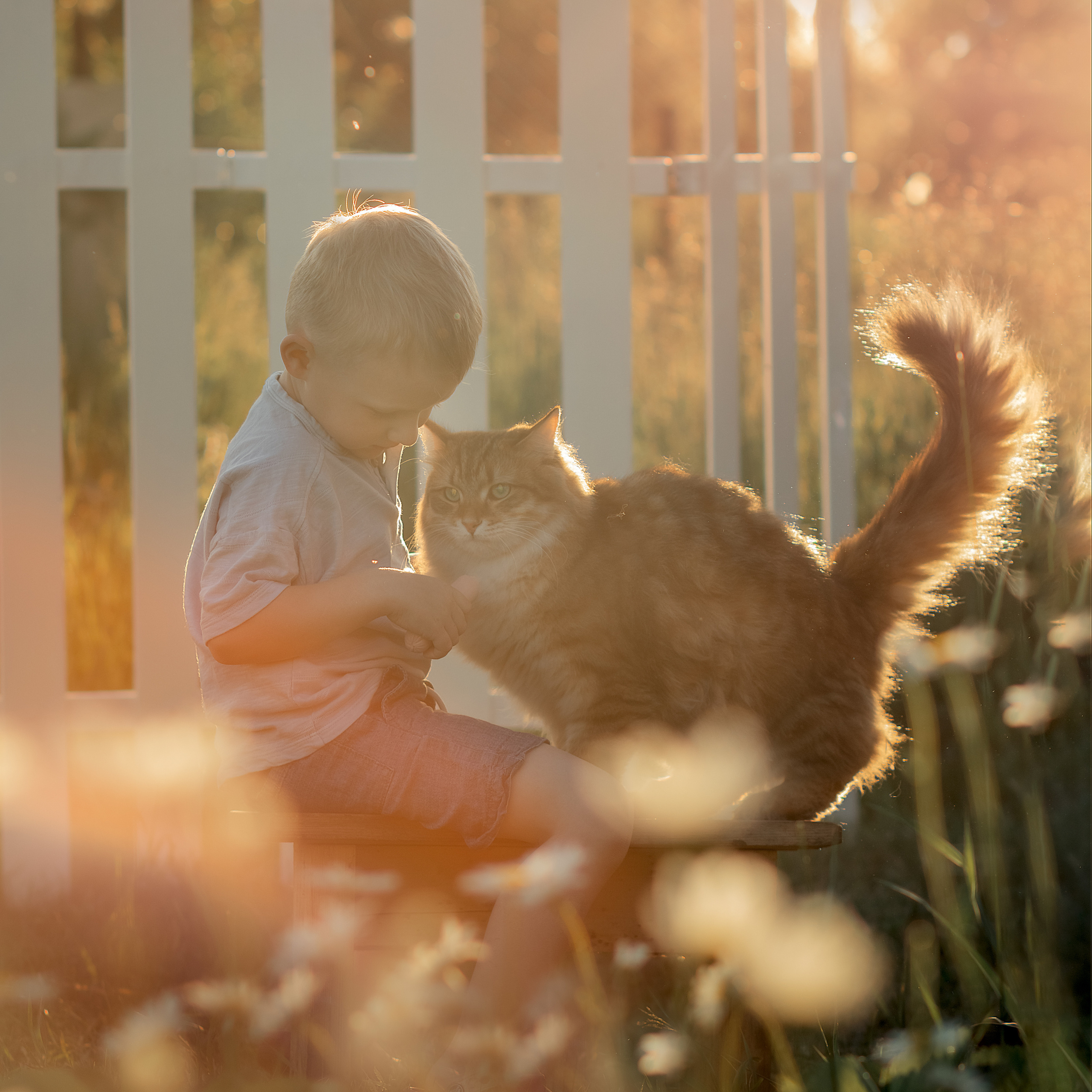Максимка. Детский и семейный фотограф в Челябинске Мандрикова Светлана