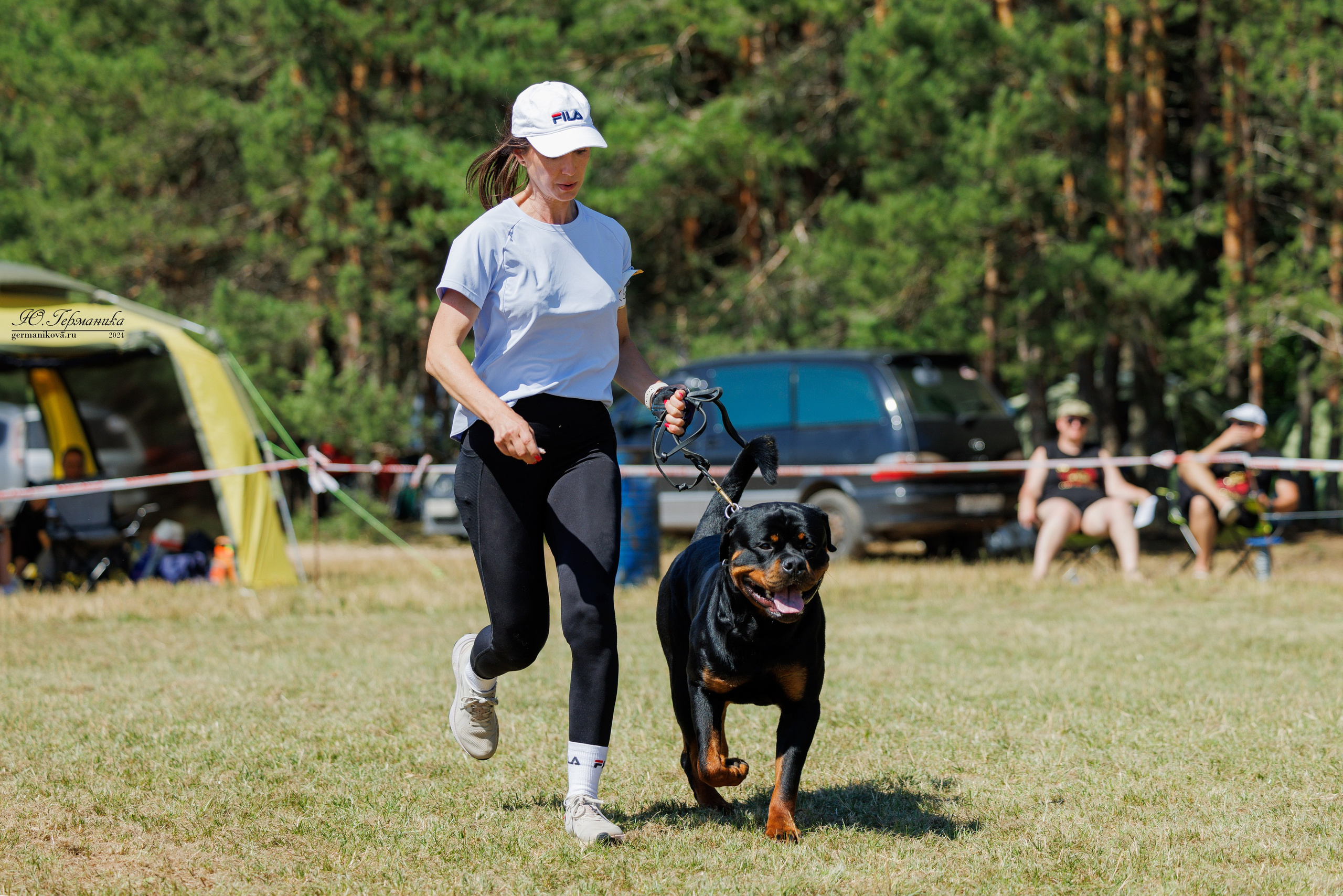 ПК и КЧК ротвейлеры Тверь 6-7.07.2024. Фотограф-анималист Юлия Германика