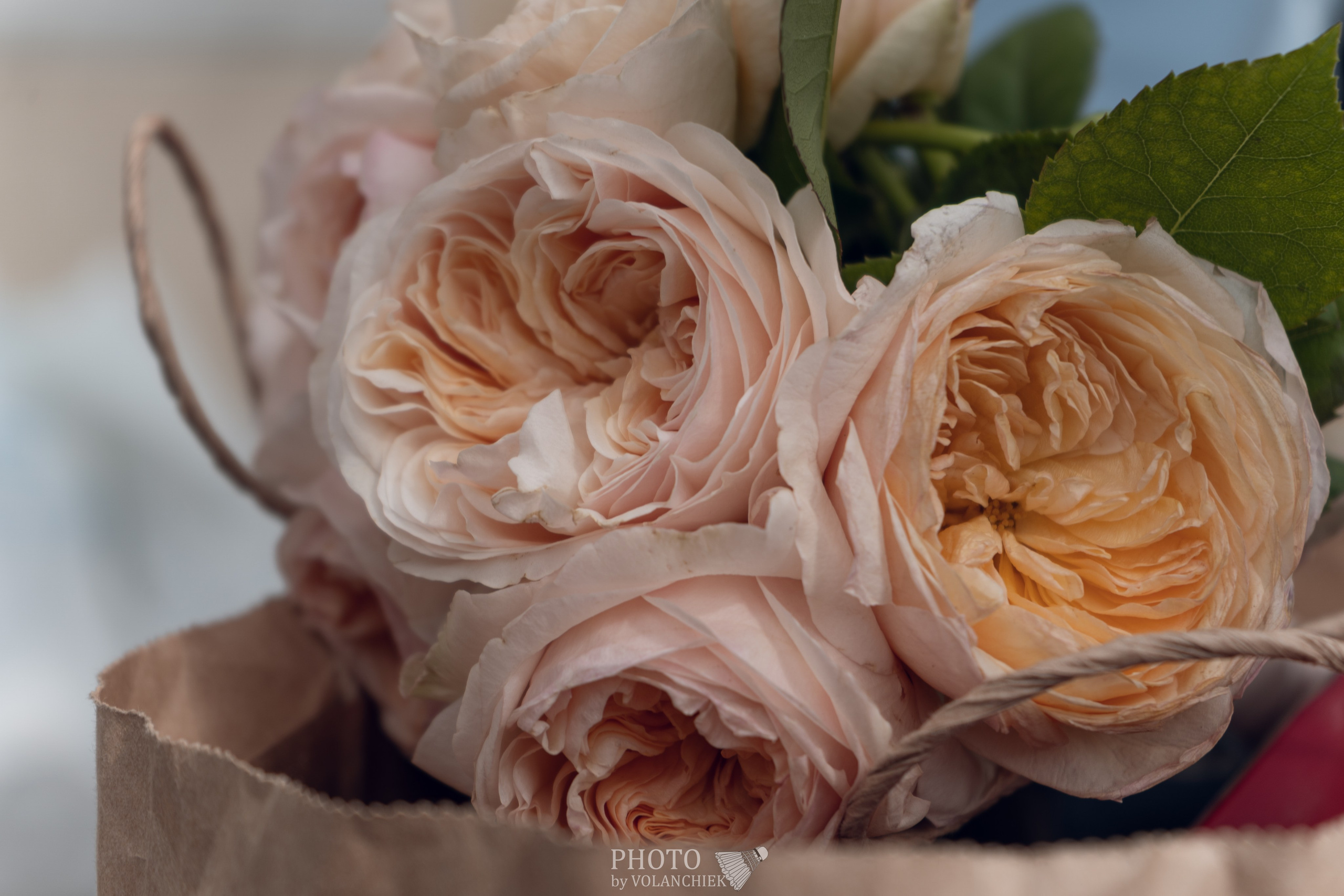 Свадебная фотосессия. Photo by Volanchiek