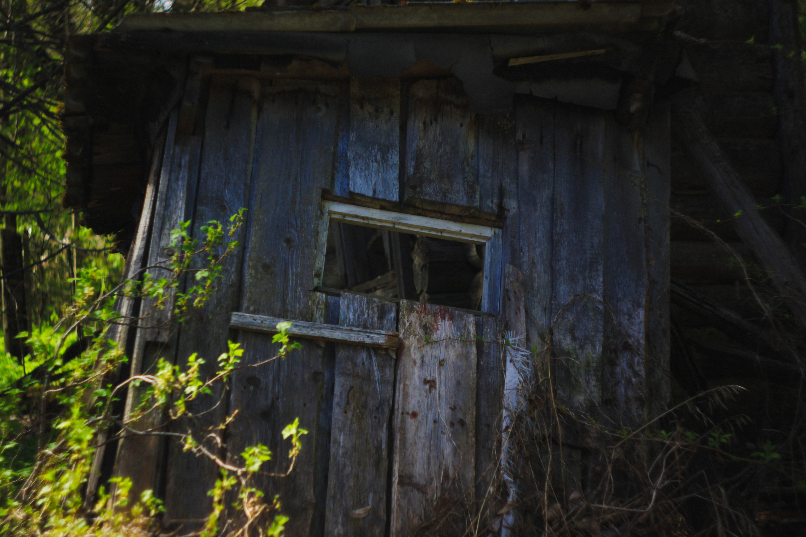 Khutor. Den Mirov — Photographer, Musician